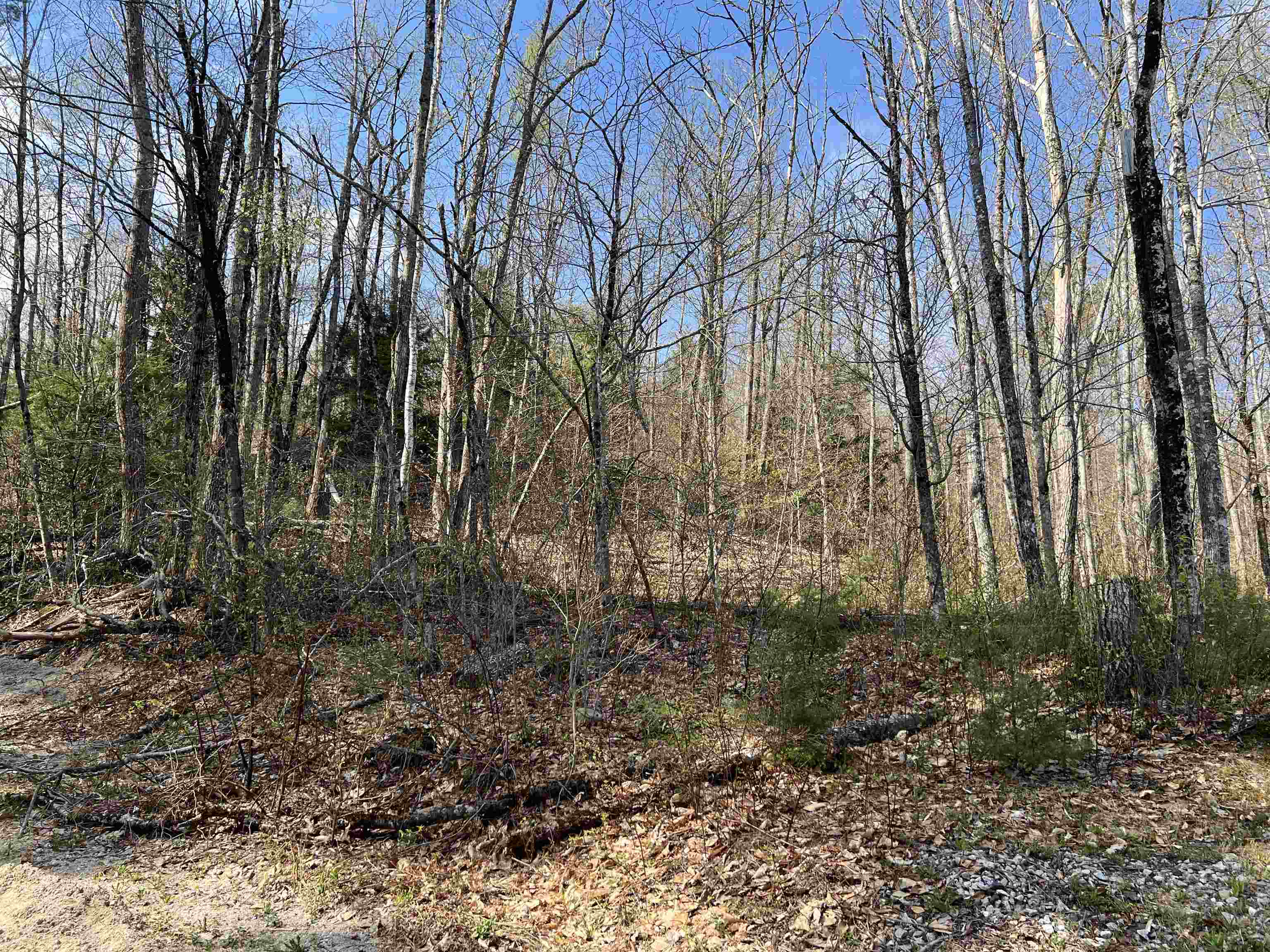 00 Brookside St, Conway, NH 03818