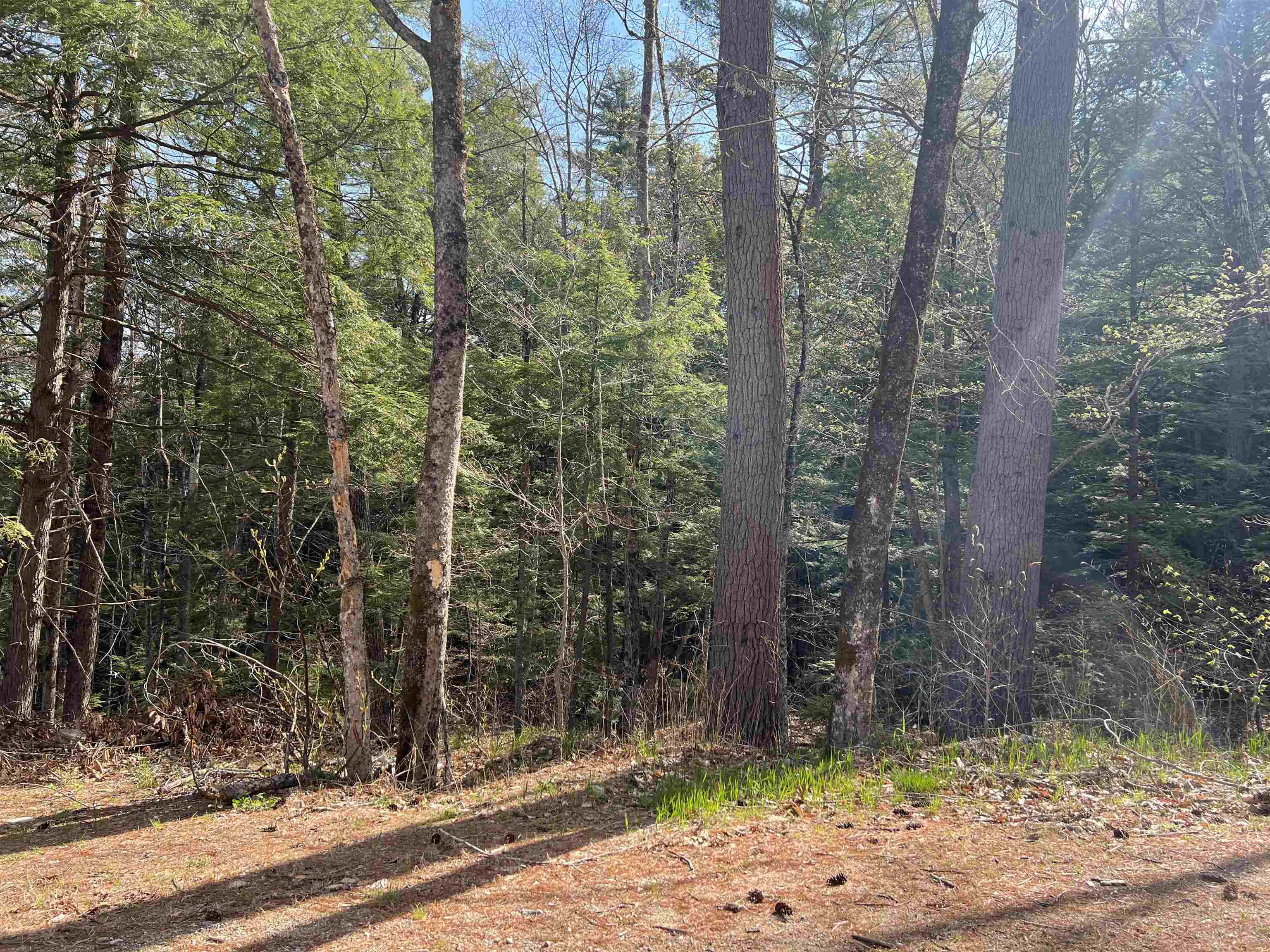 Brookside St, Conway, NH 03818
