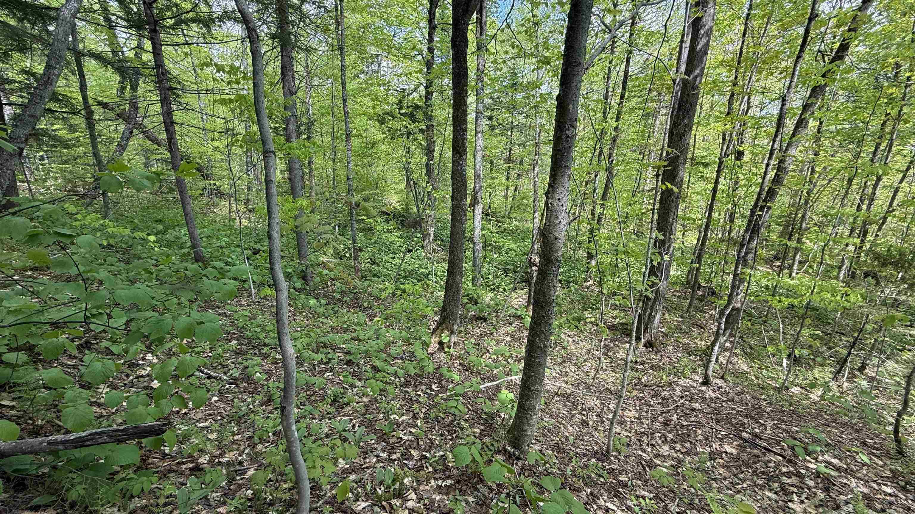 Property photo 22