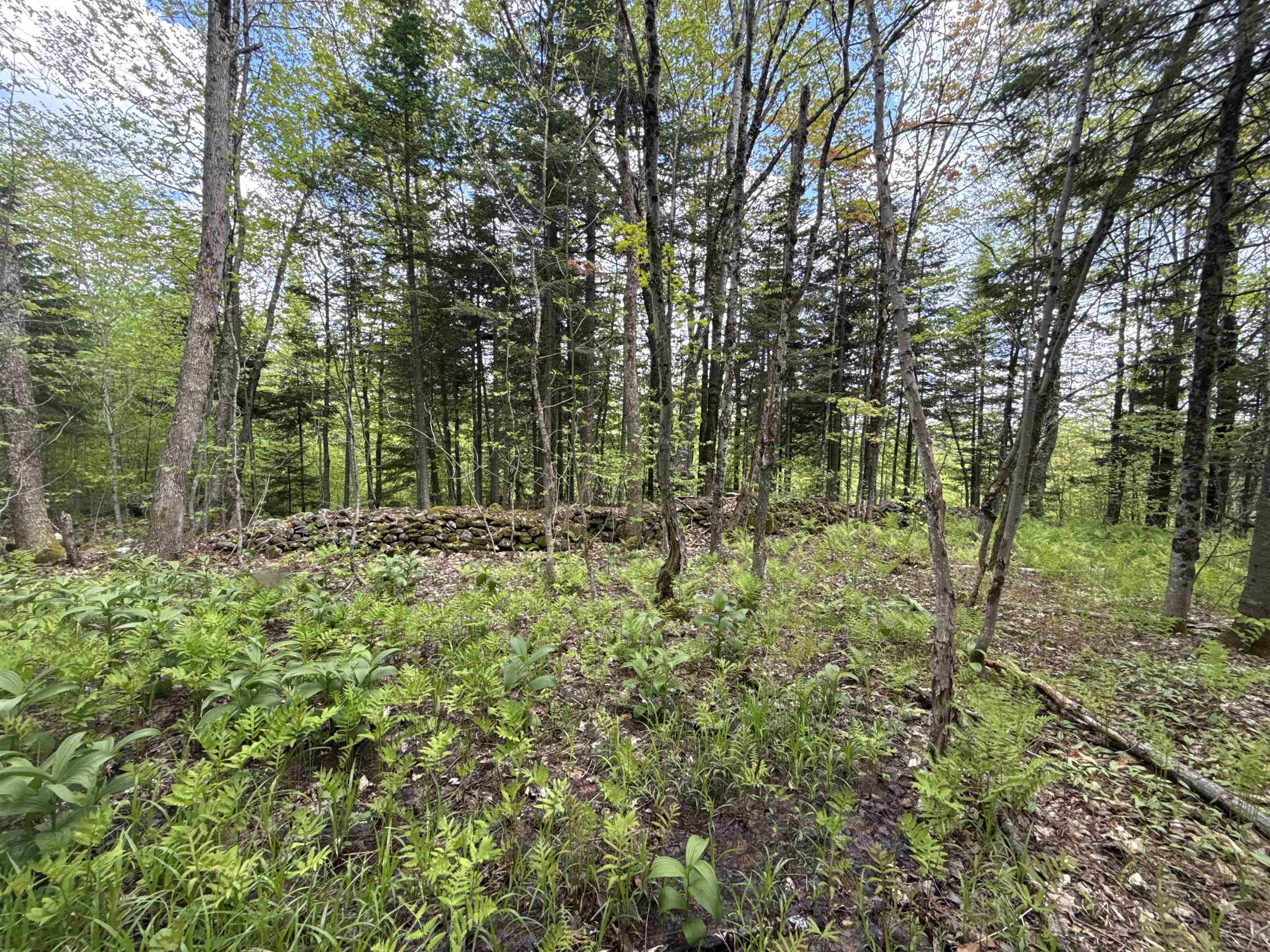Property photo 28