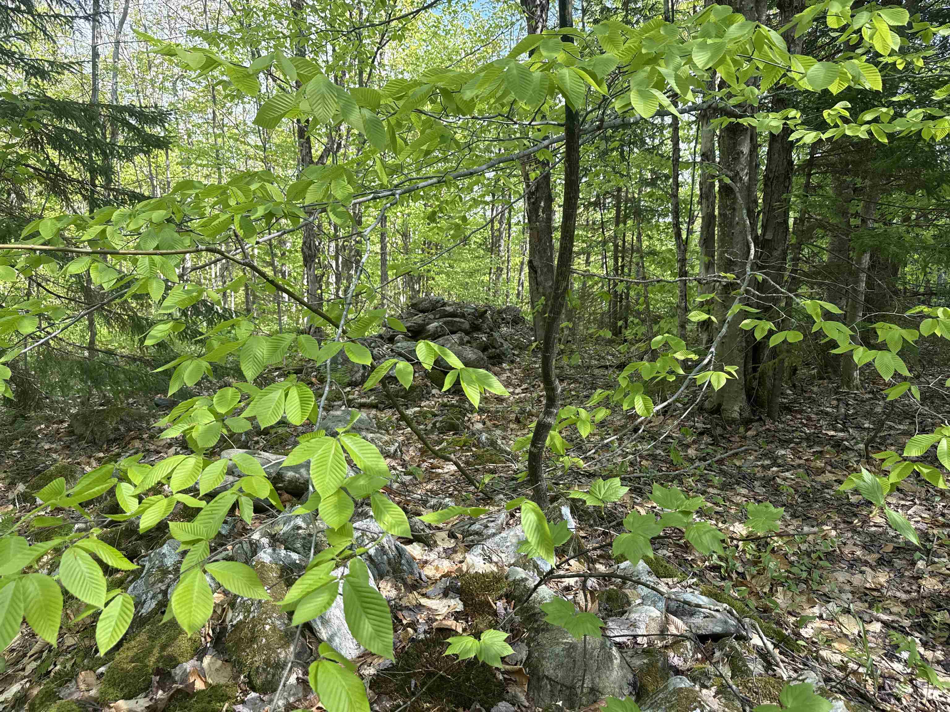 Property photo 36