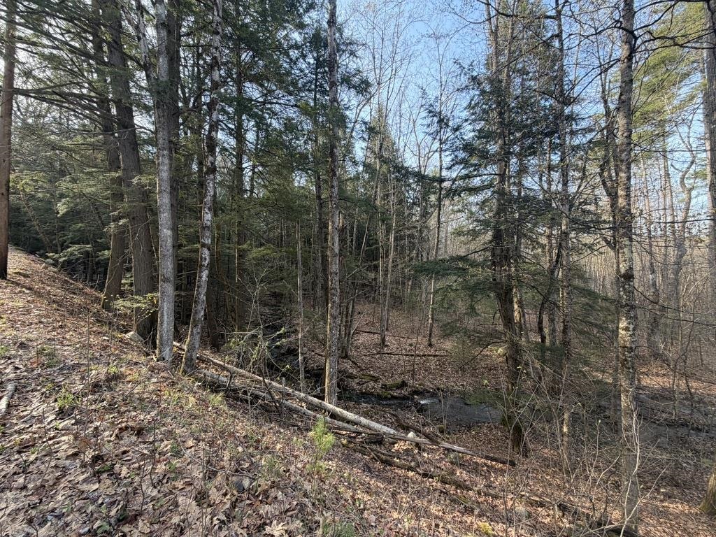 0 Kemp Rd, Croydon, NH 03773