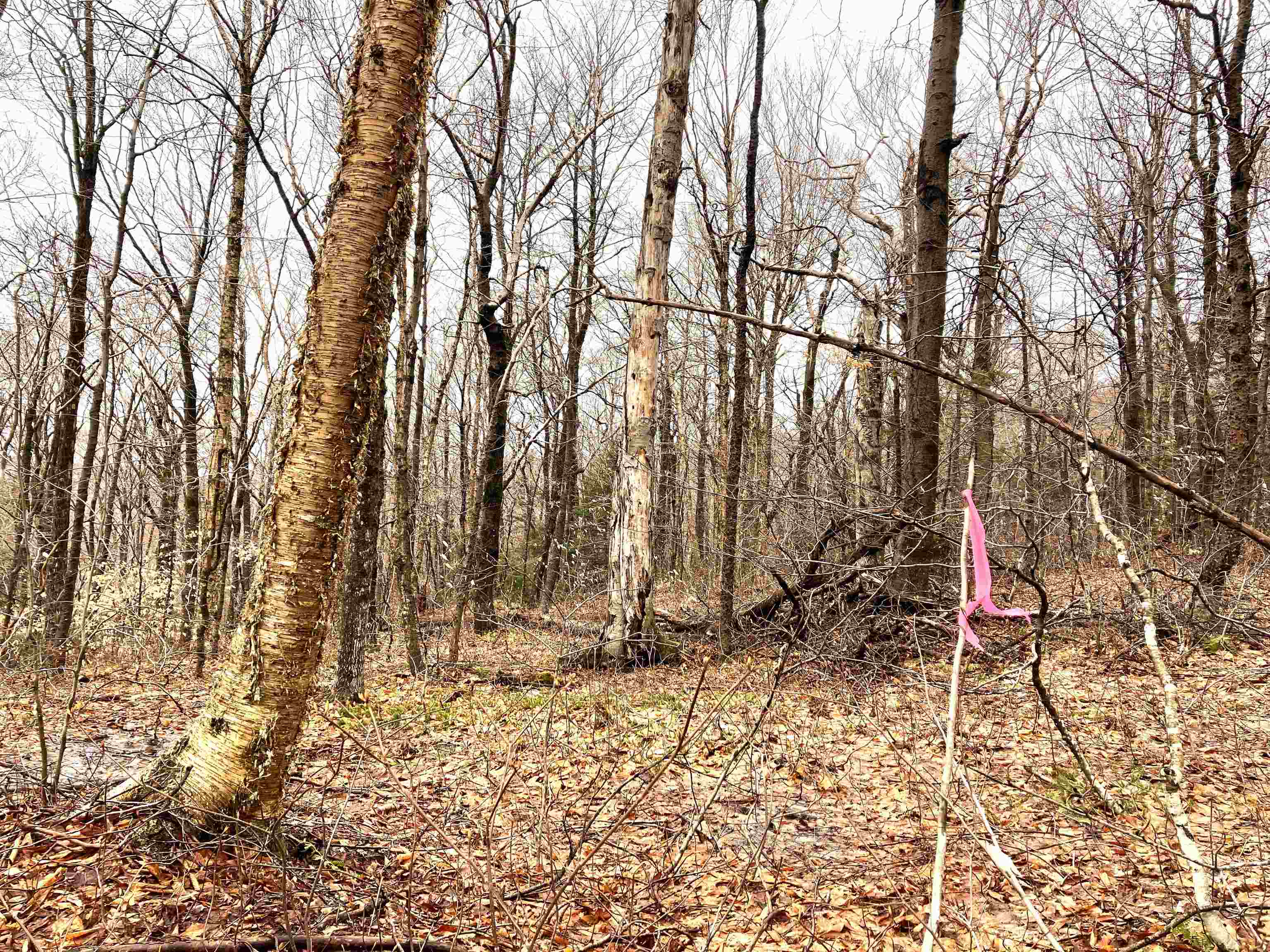 Wilmington VT&nbsp;Land for sale $85,000 | 1.02 Acres  | Price Per Acre $0  | Total Lots 2