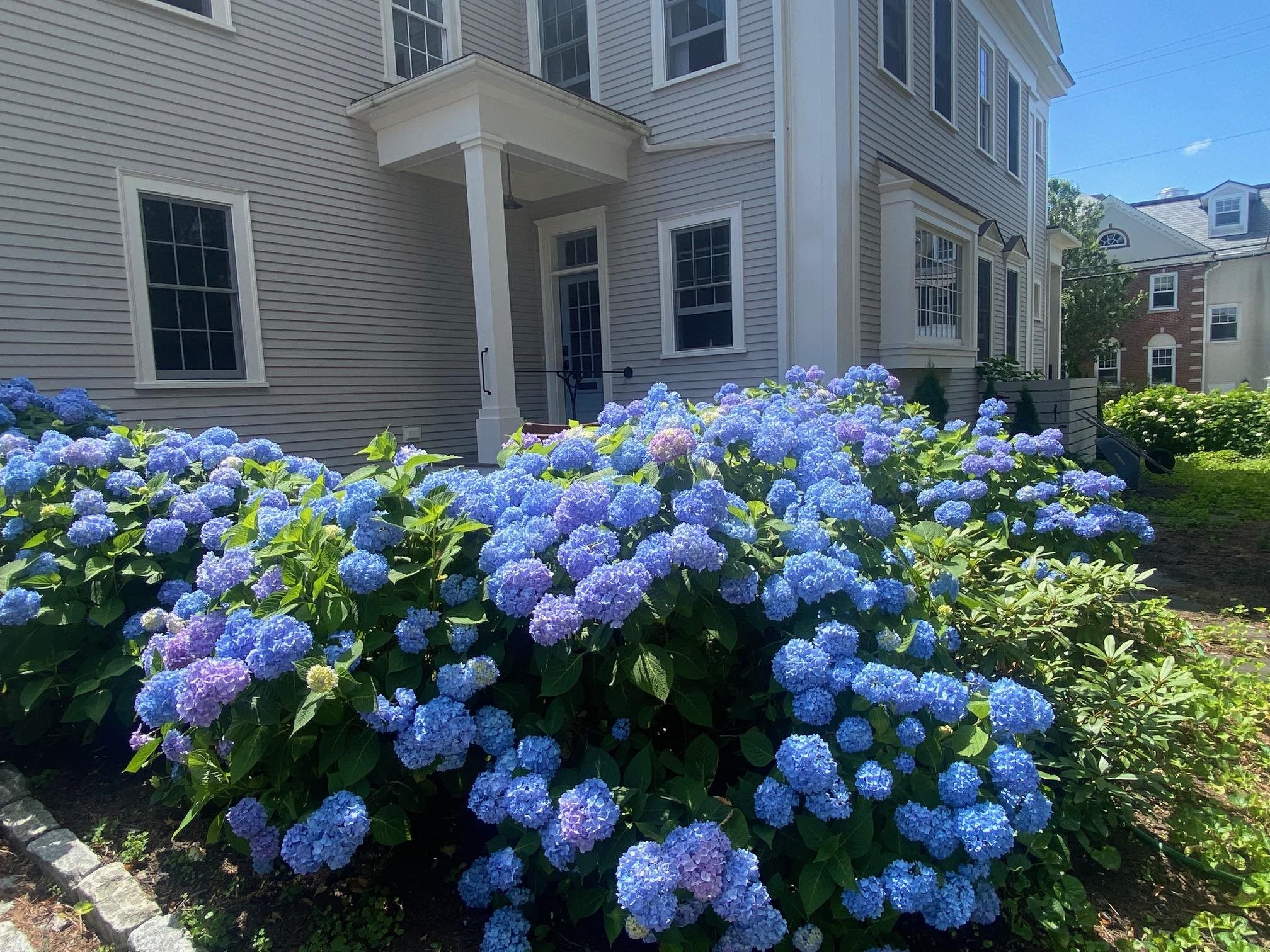 353 Pleasant St, Portsmouth, NH 03801