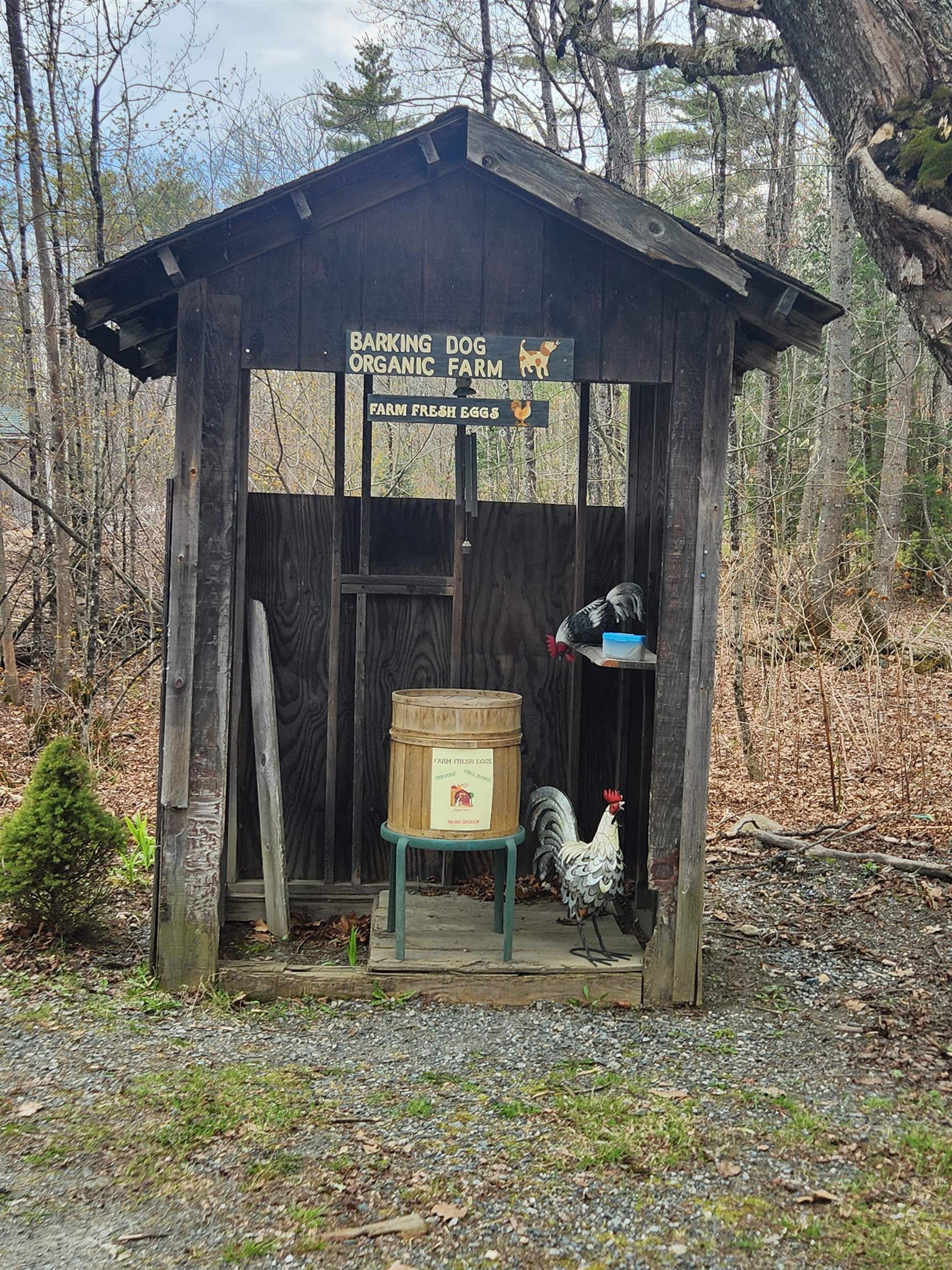 27 Bear Pond Rd, Canaan, NH 03741