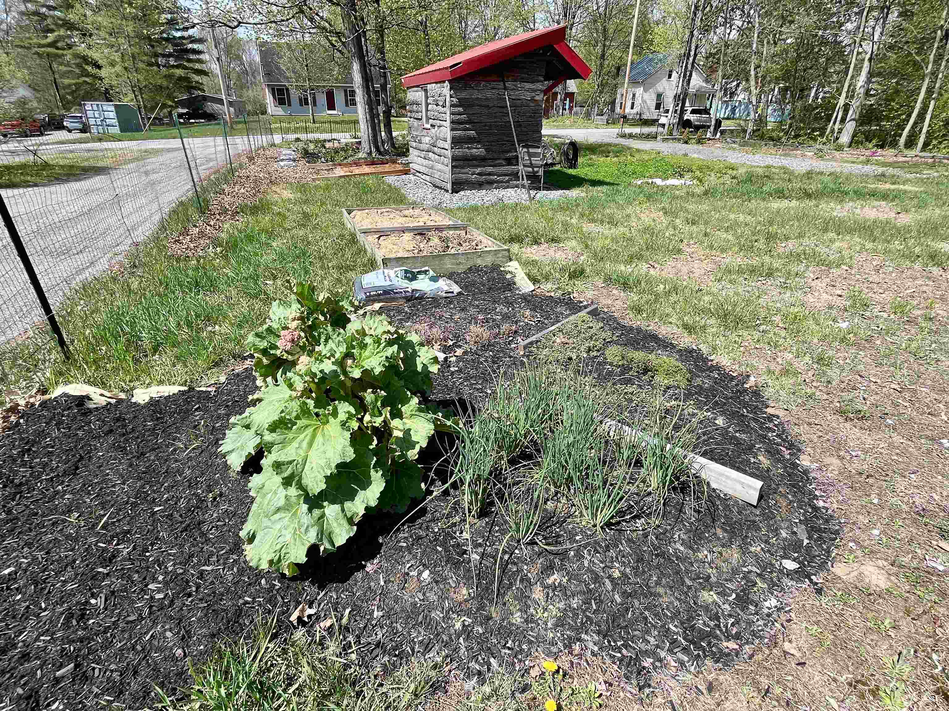 Herbs and raised beds
