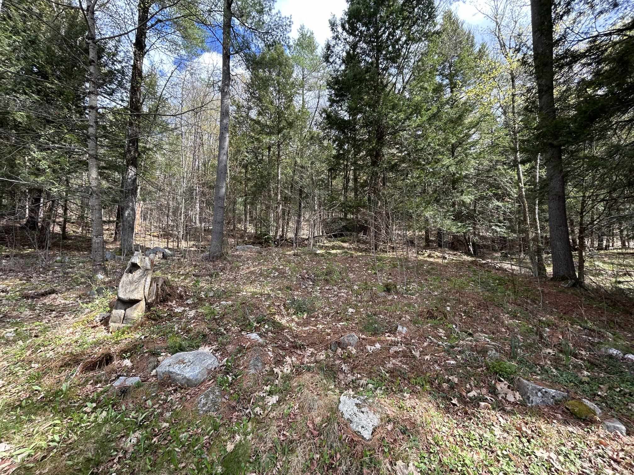 Mix of woods 25182061