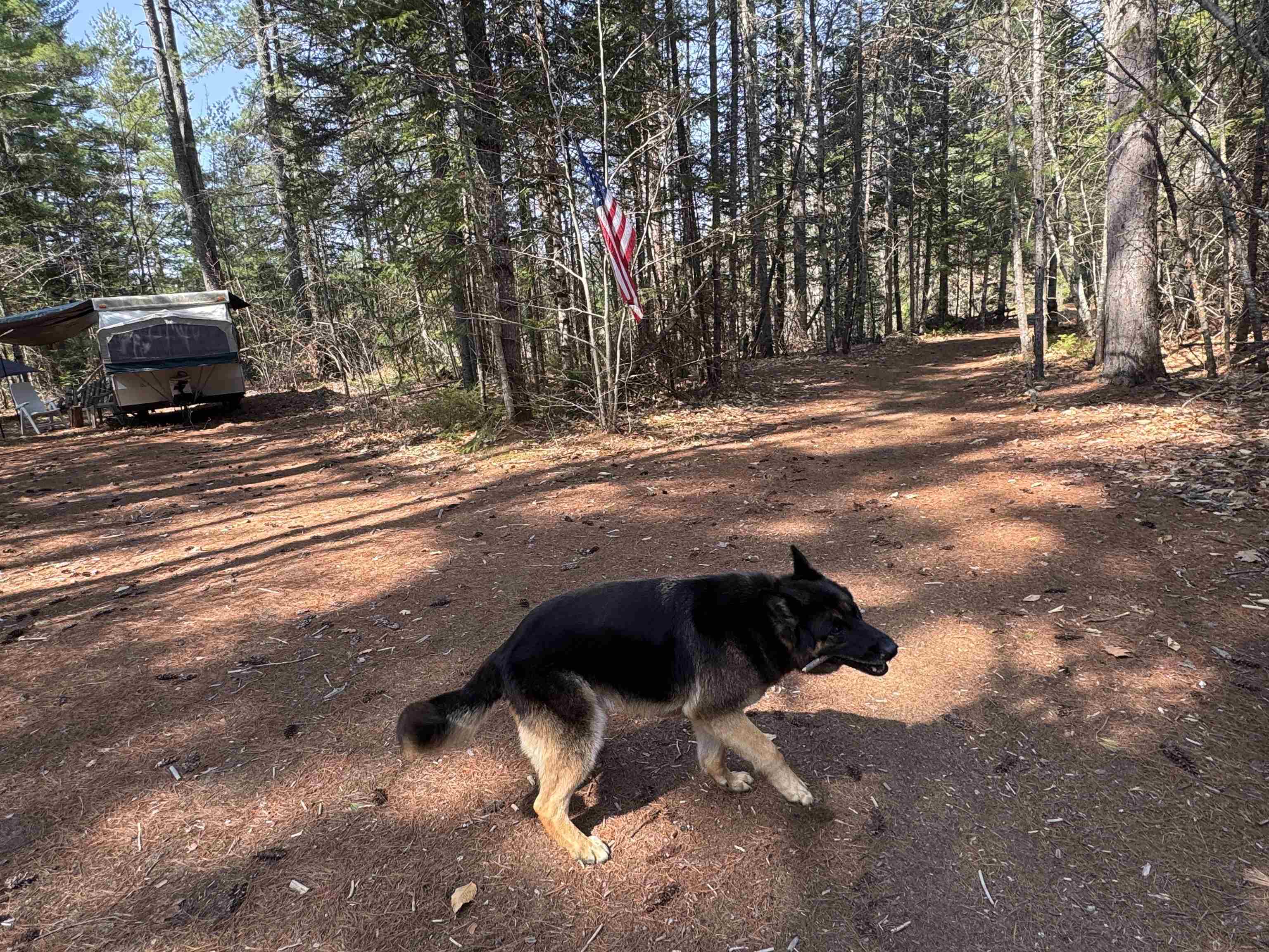 00 Province Rd, Effingham, NH 03882