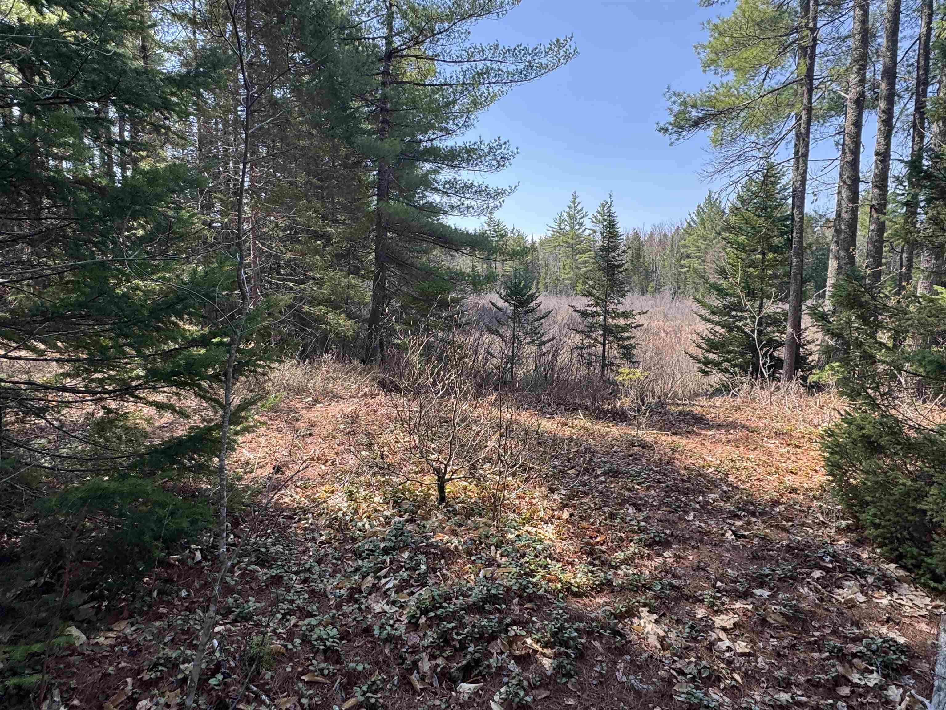 00 Province Rd, Effingham, NH 03882