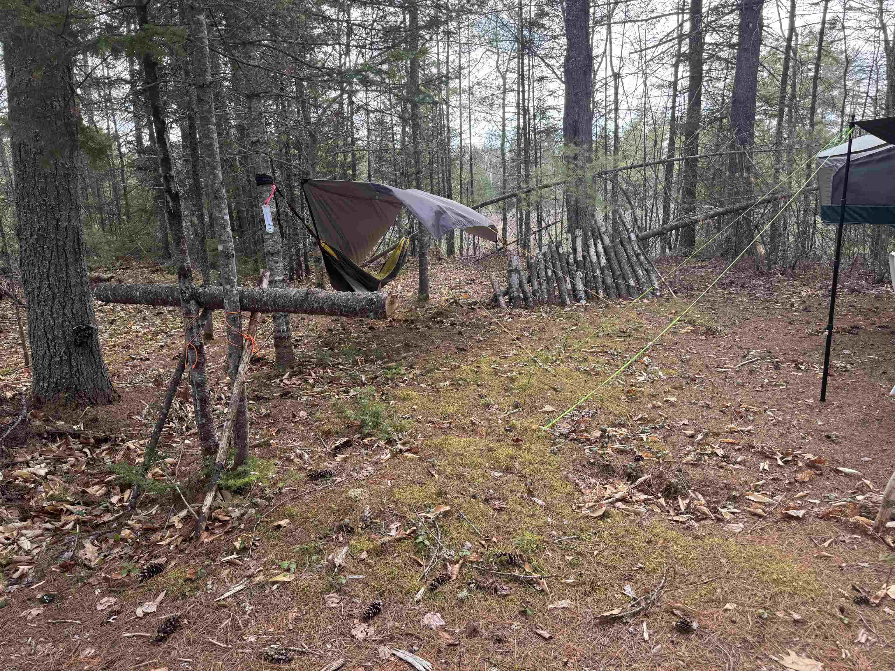 00 Province Lake Rd, Effingham, NH 03882