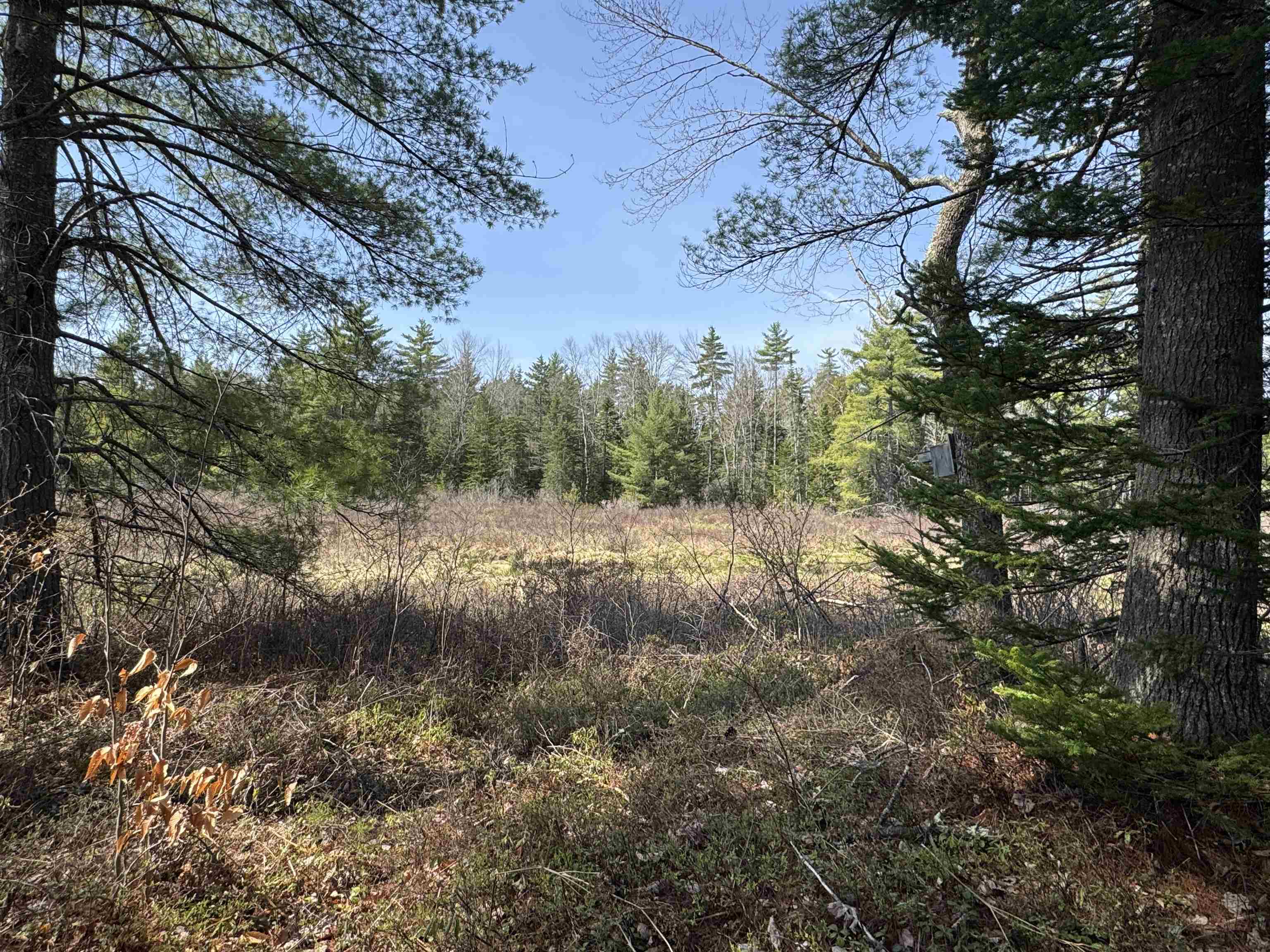 00 Province Lake Rd, Effingham, NH 03882