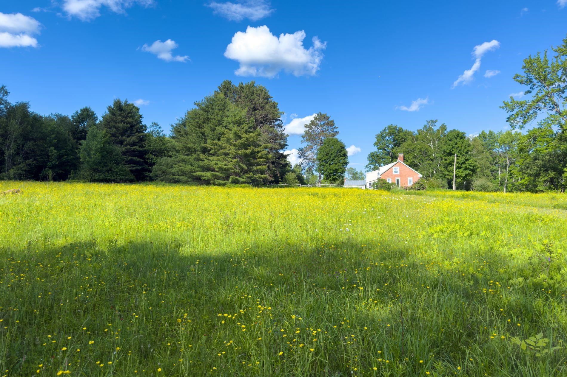 994 Pearl Lake Rd, Sugar Hill, NH 03586