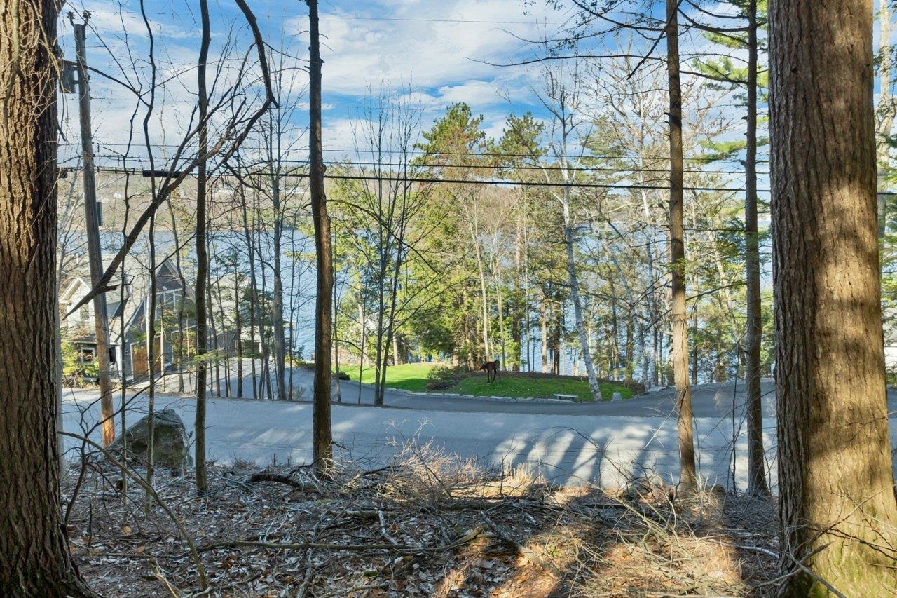 0 Pinnacle Park Rd, Meredith, NH 03253