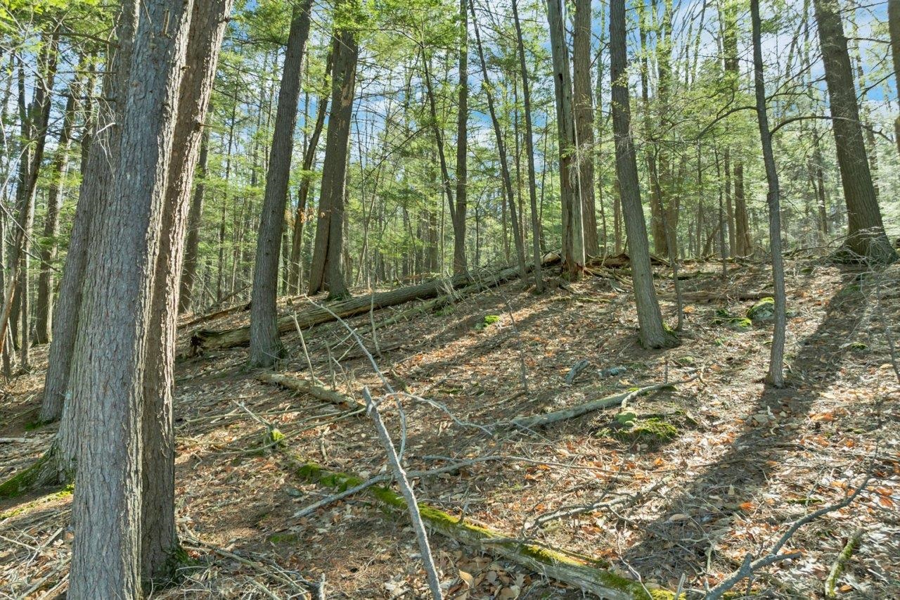 0 Pinnacle Park Rd, Meredith, NH 03253