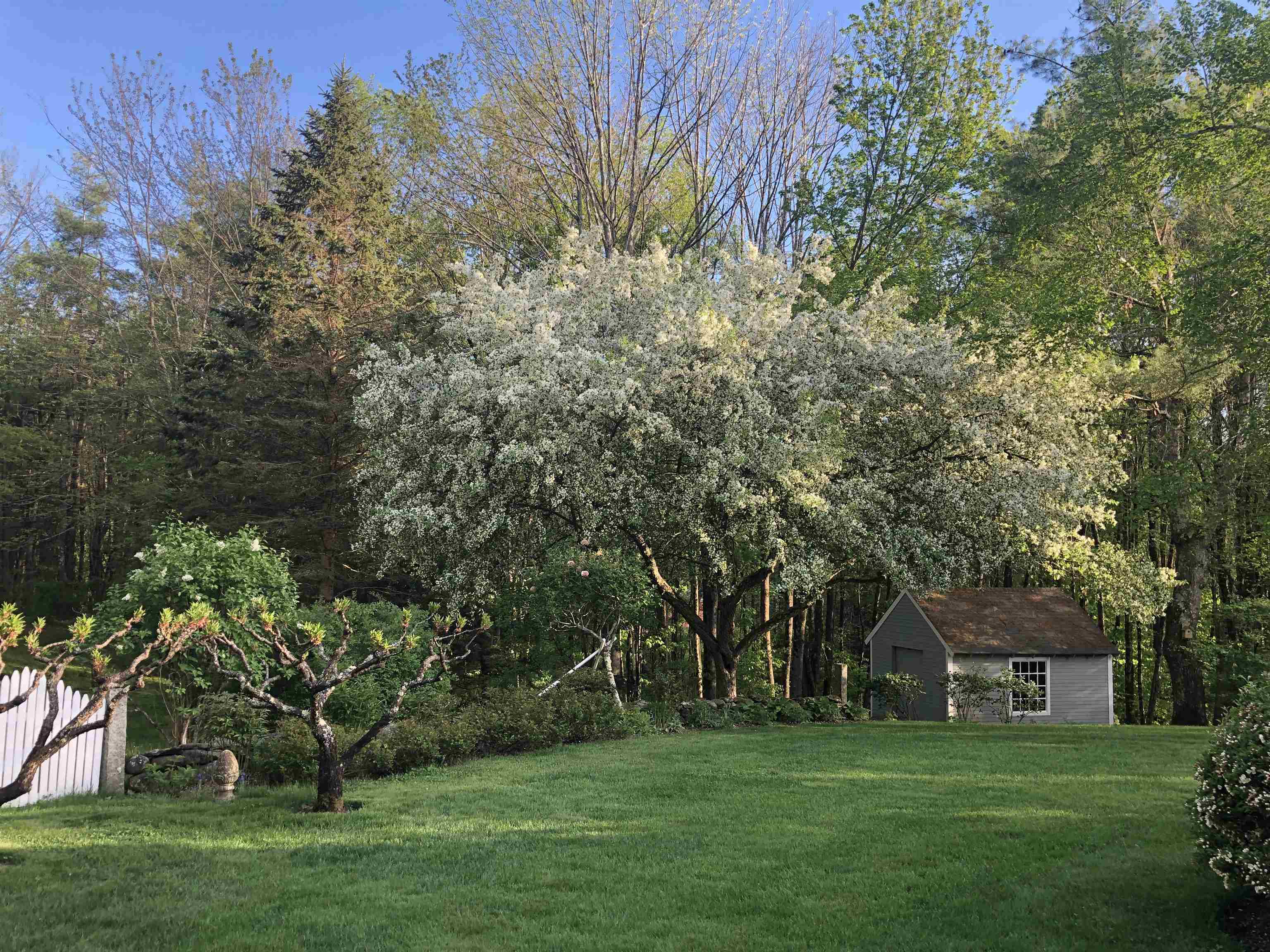 9 Tater St, Mont Vernon, NH 03057