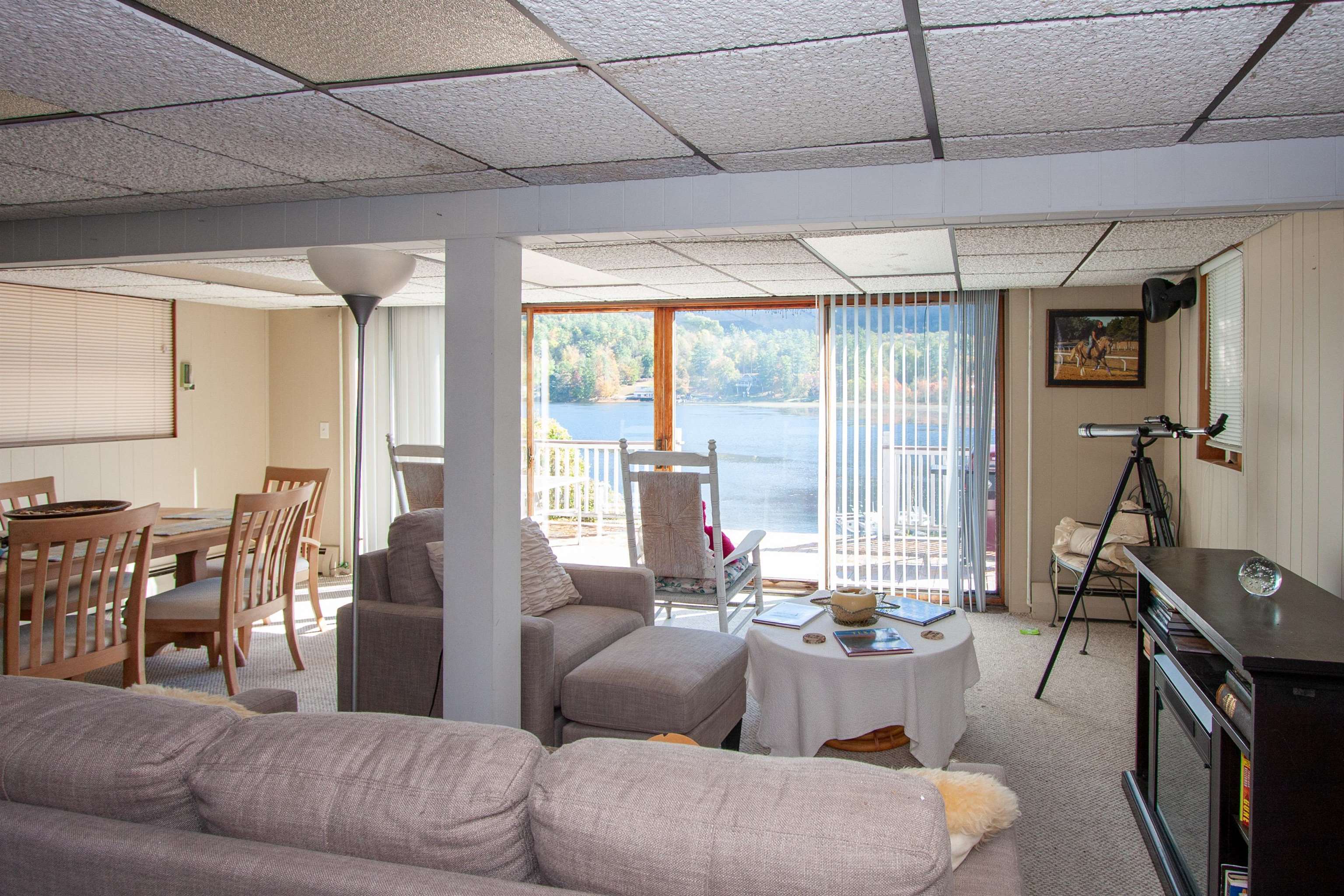 LOWER LEVEL FAMILY ROOM