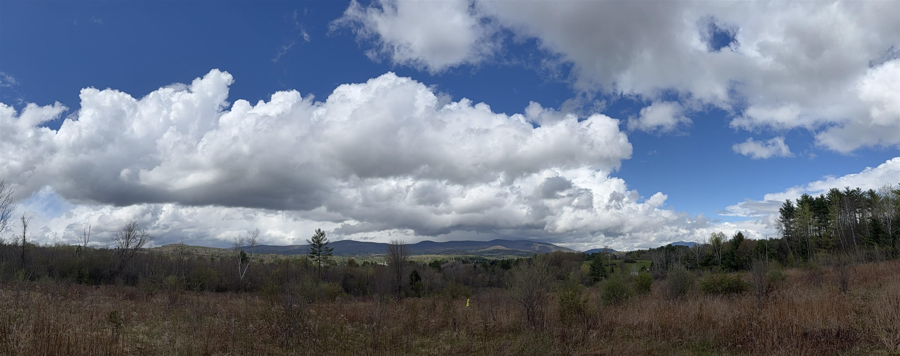 image of Springfield VT Land | 46.06 Acres