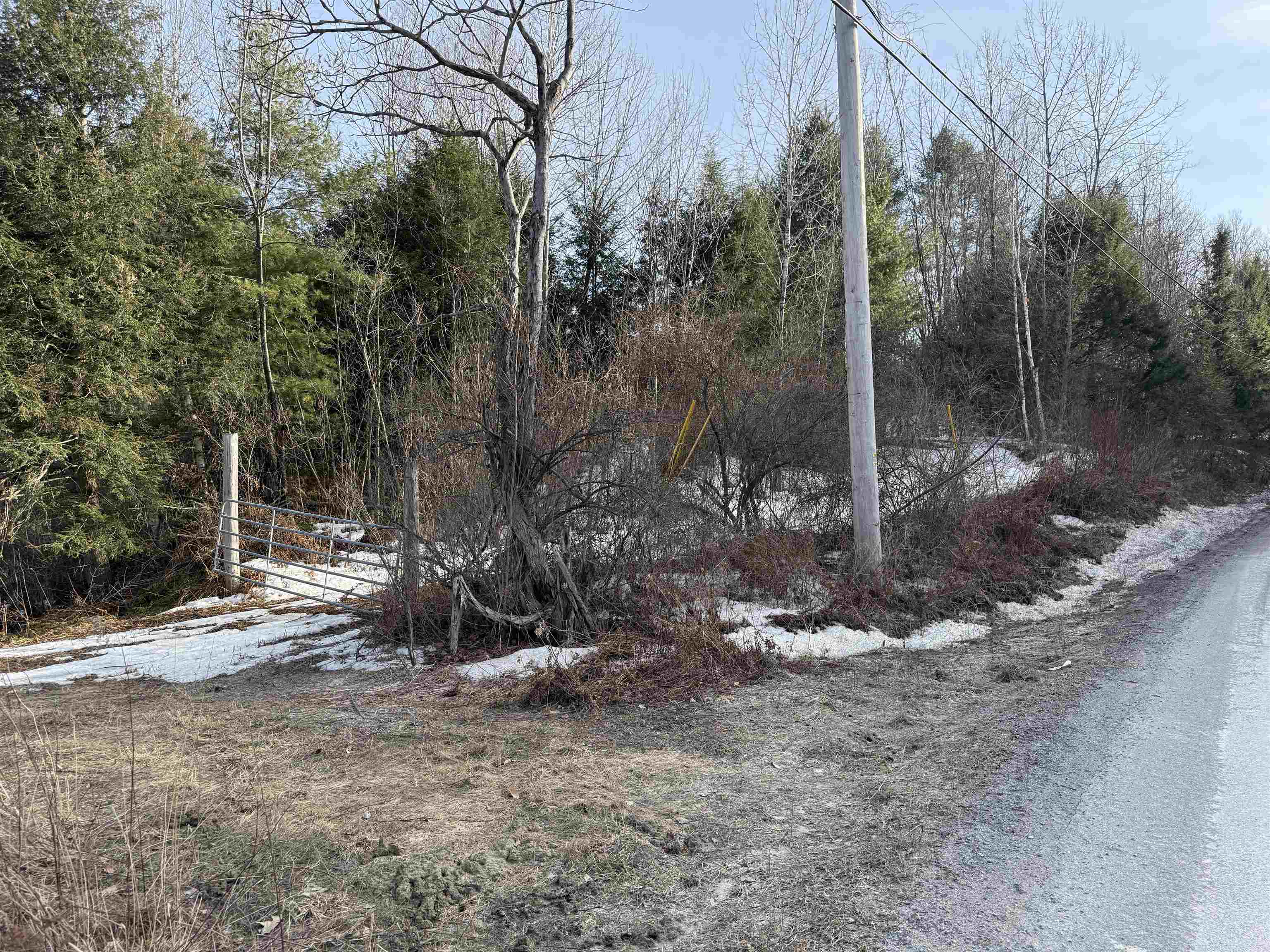 Spoonerville side 24904419