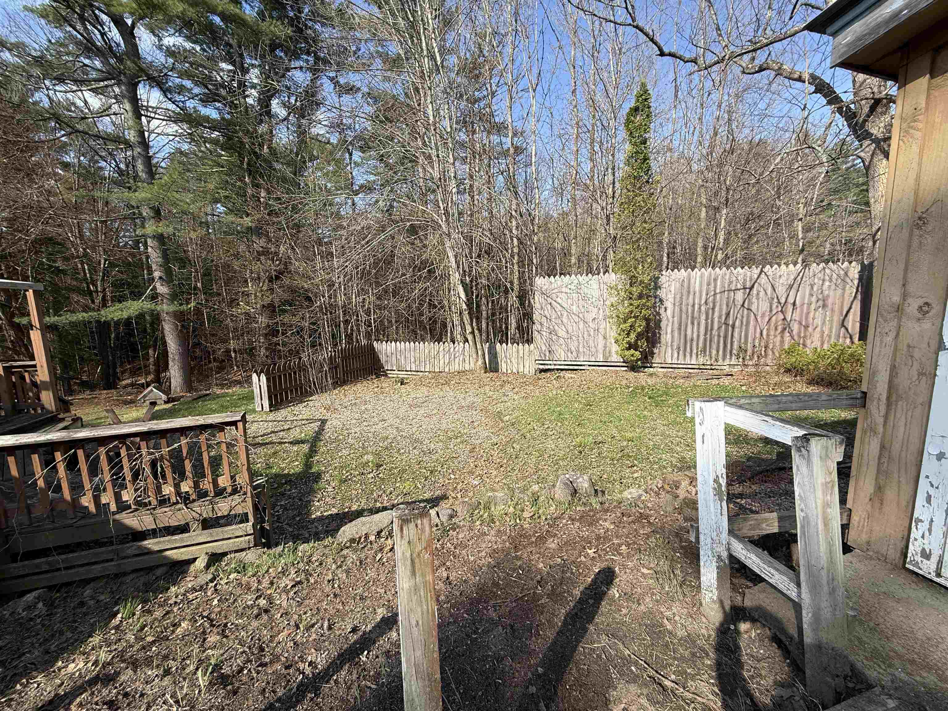 Back Yard 25173295
