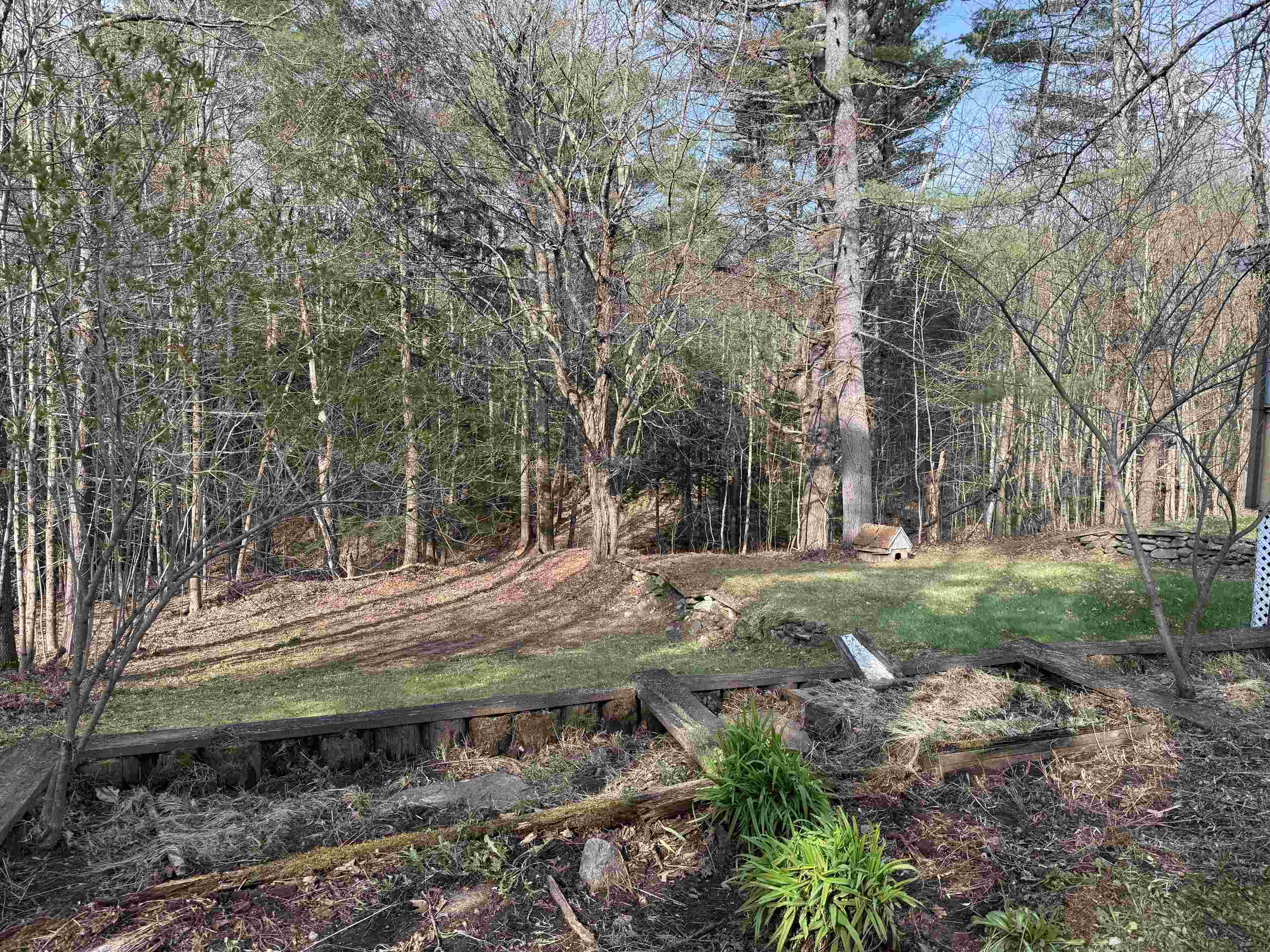 Back Yard 25173224