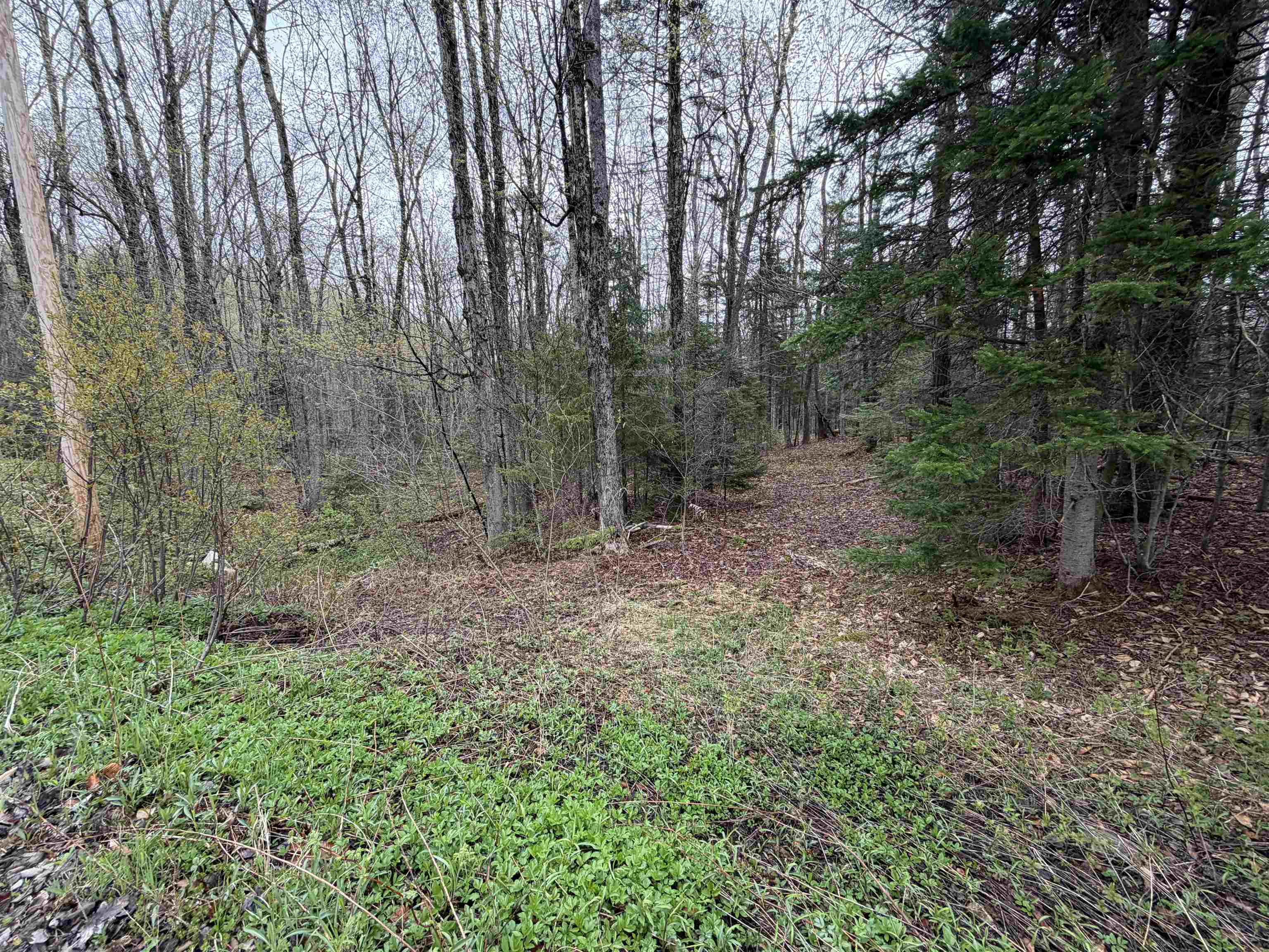 Readsboro VT&nbsp;Land for sale $25,000 | 1.9 Acres  | Price Per Acre $0 