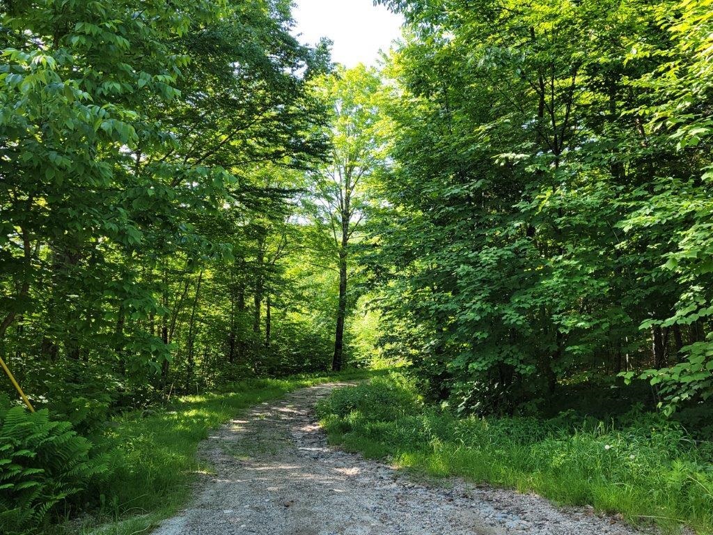 Lot 26 Presidential View Ln, Bethlehem, NH 03574