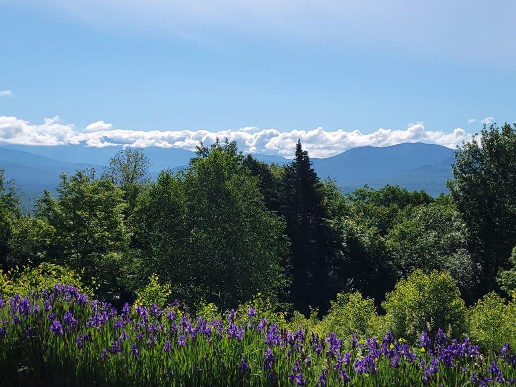 Lot 26 Presidential View Ln, Bethlehem, NH 03574