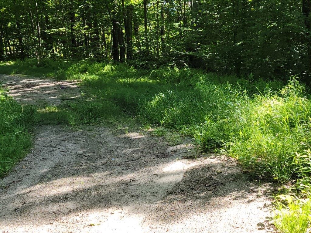 Lot 26 Presidential View Ln, Bethlehem, NH 03574