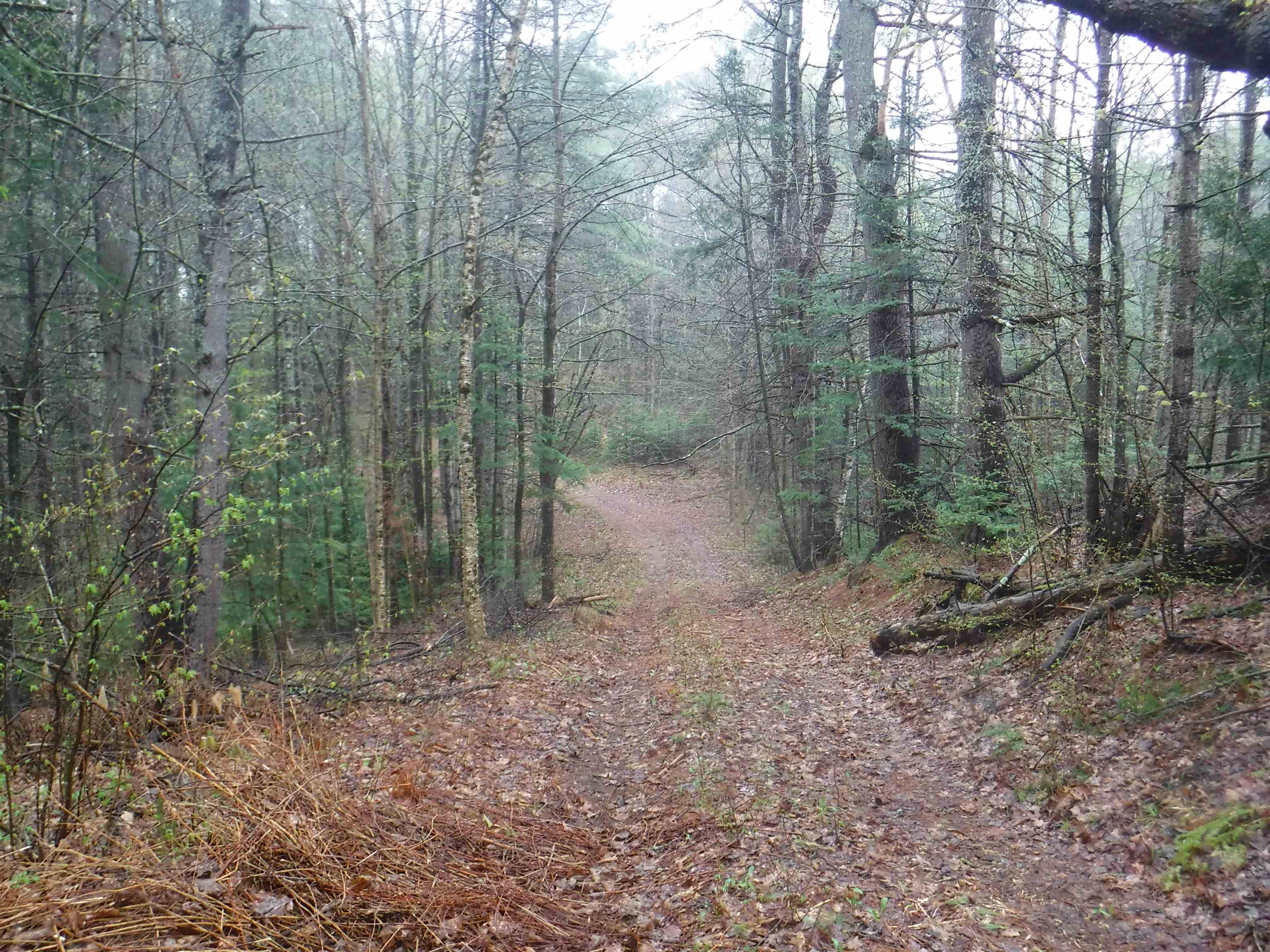 001 Sand County Rd, Haverhill, NH 03774