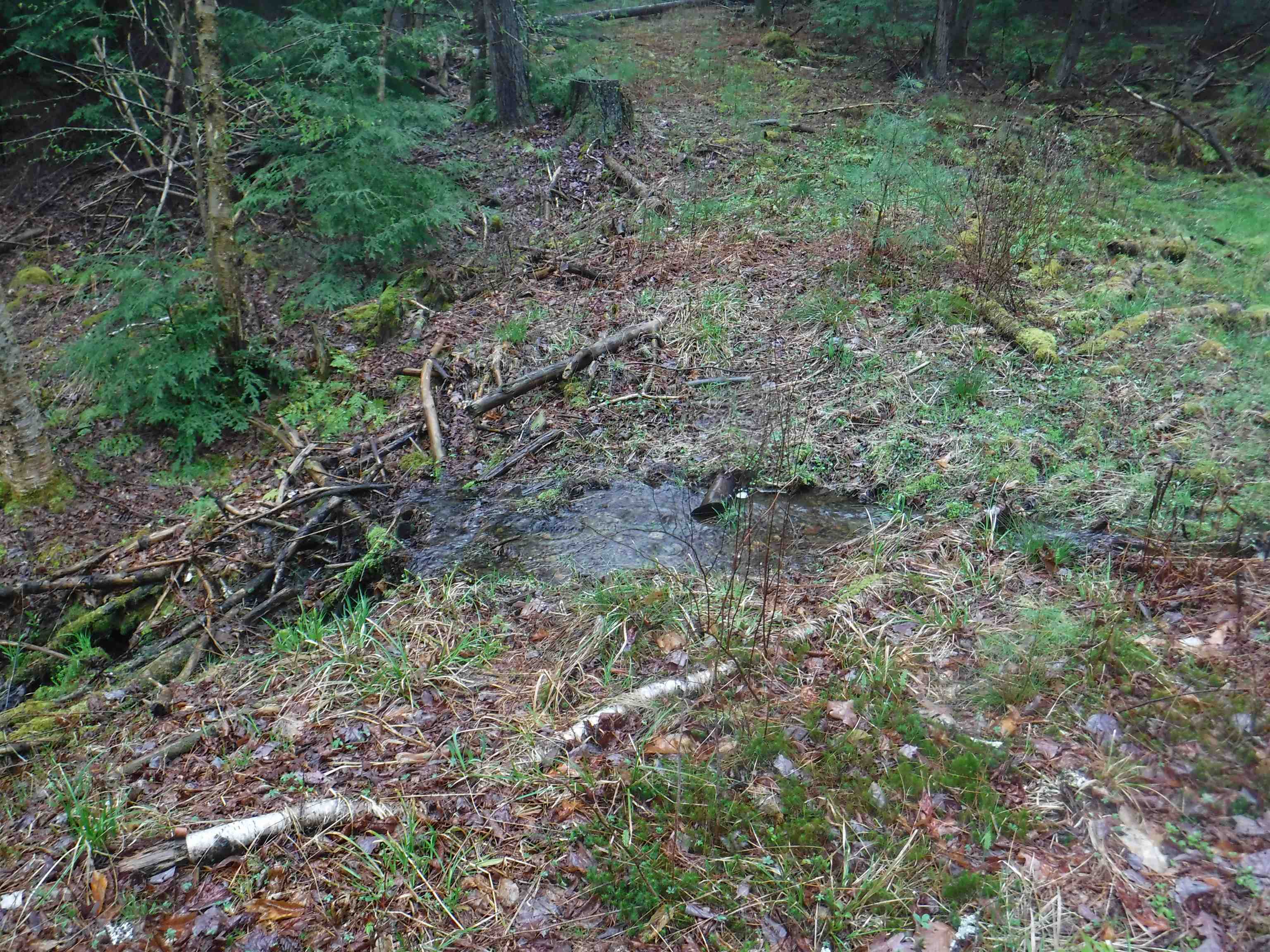 001 Sand County Rd, Haverhill, NH 03774