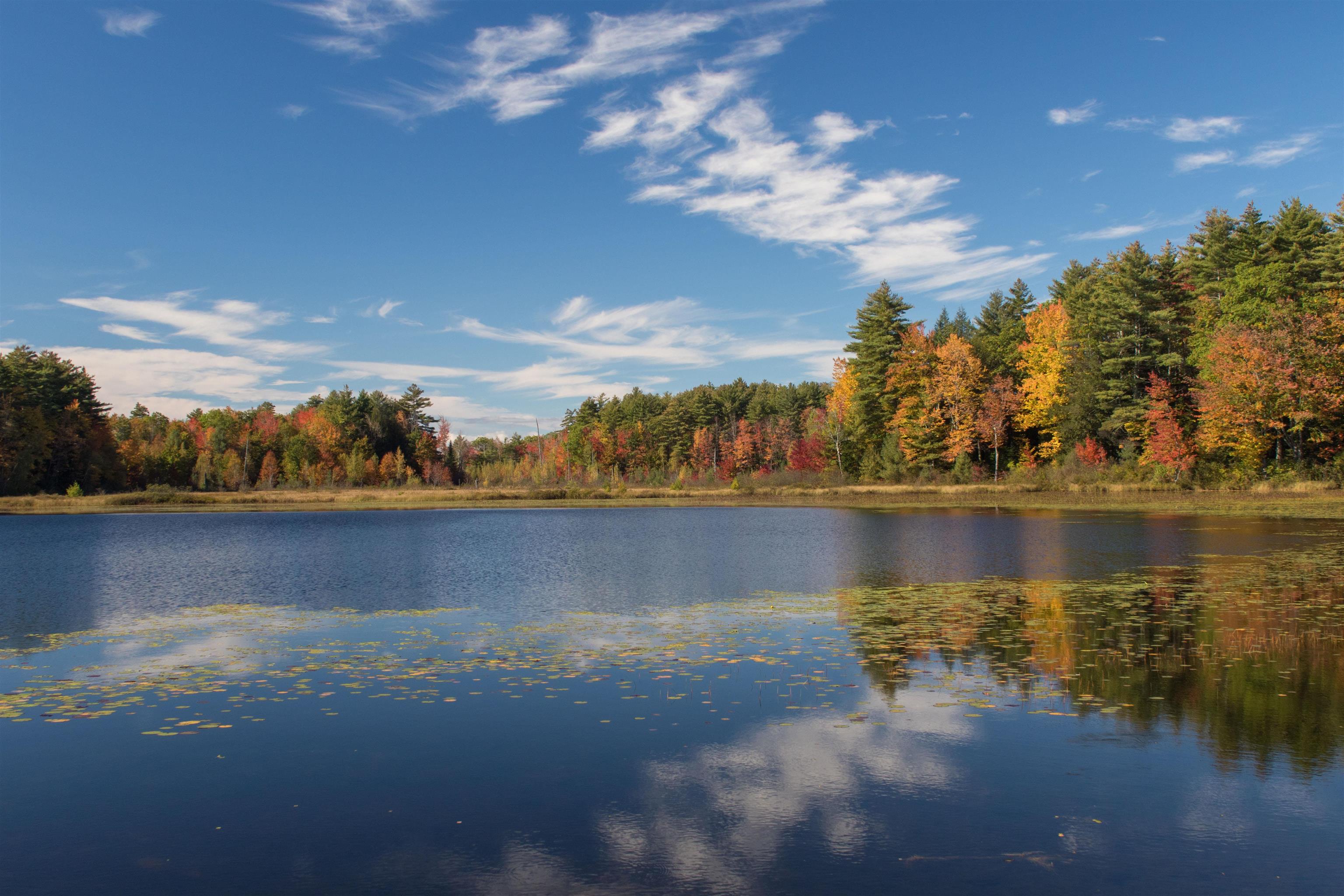 900 Bunker Hill Rd, Tamworth, NH 03883