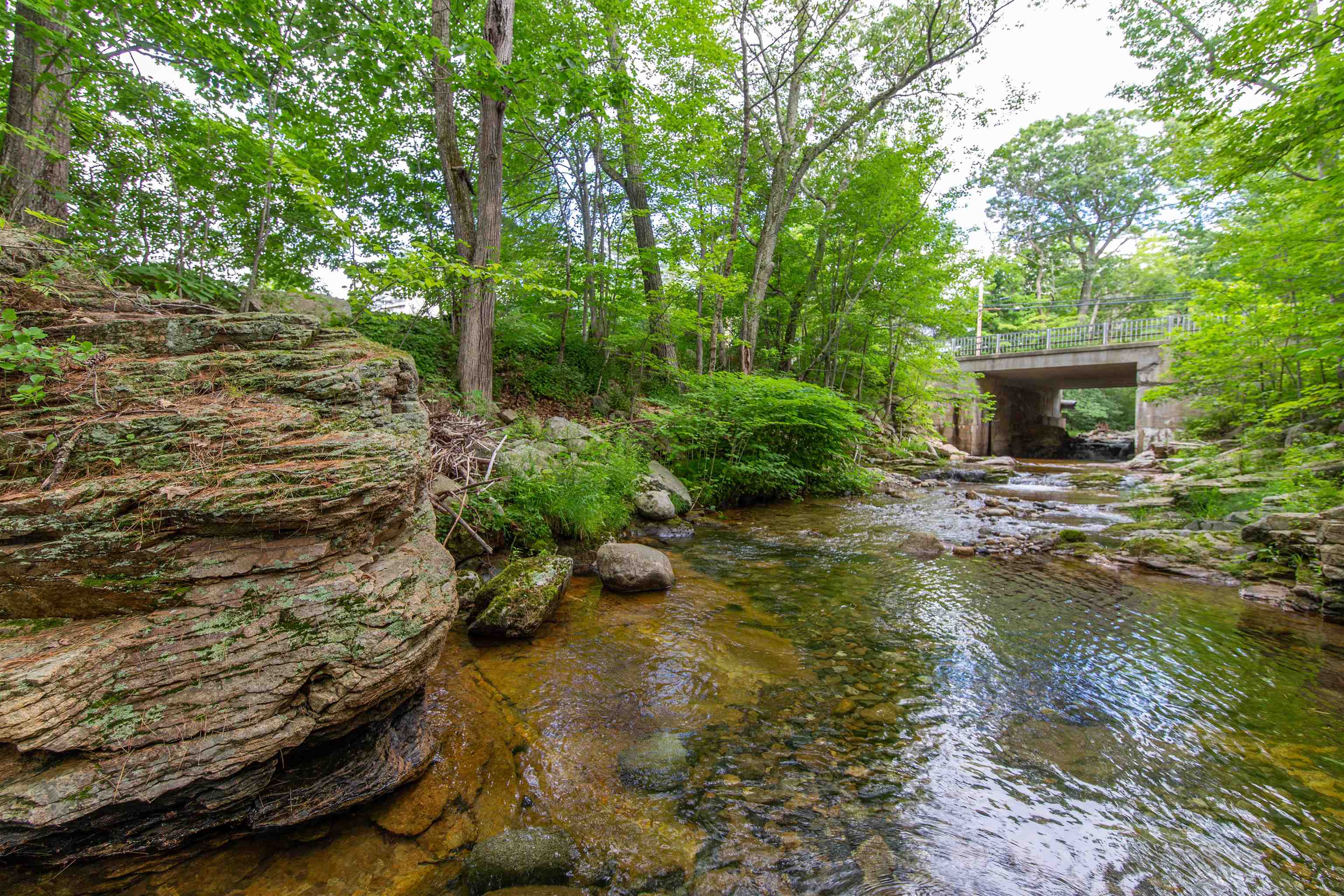 13 Mill Rd, Tamworth, NH 03883