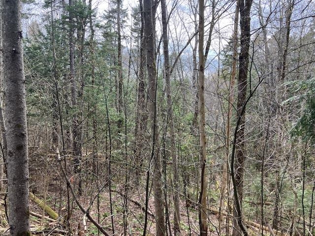 Wilmington VT&nbsp;Land for sale $65,000 | 0.83 Acres  | Price Per Acre $0 