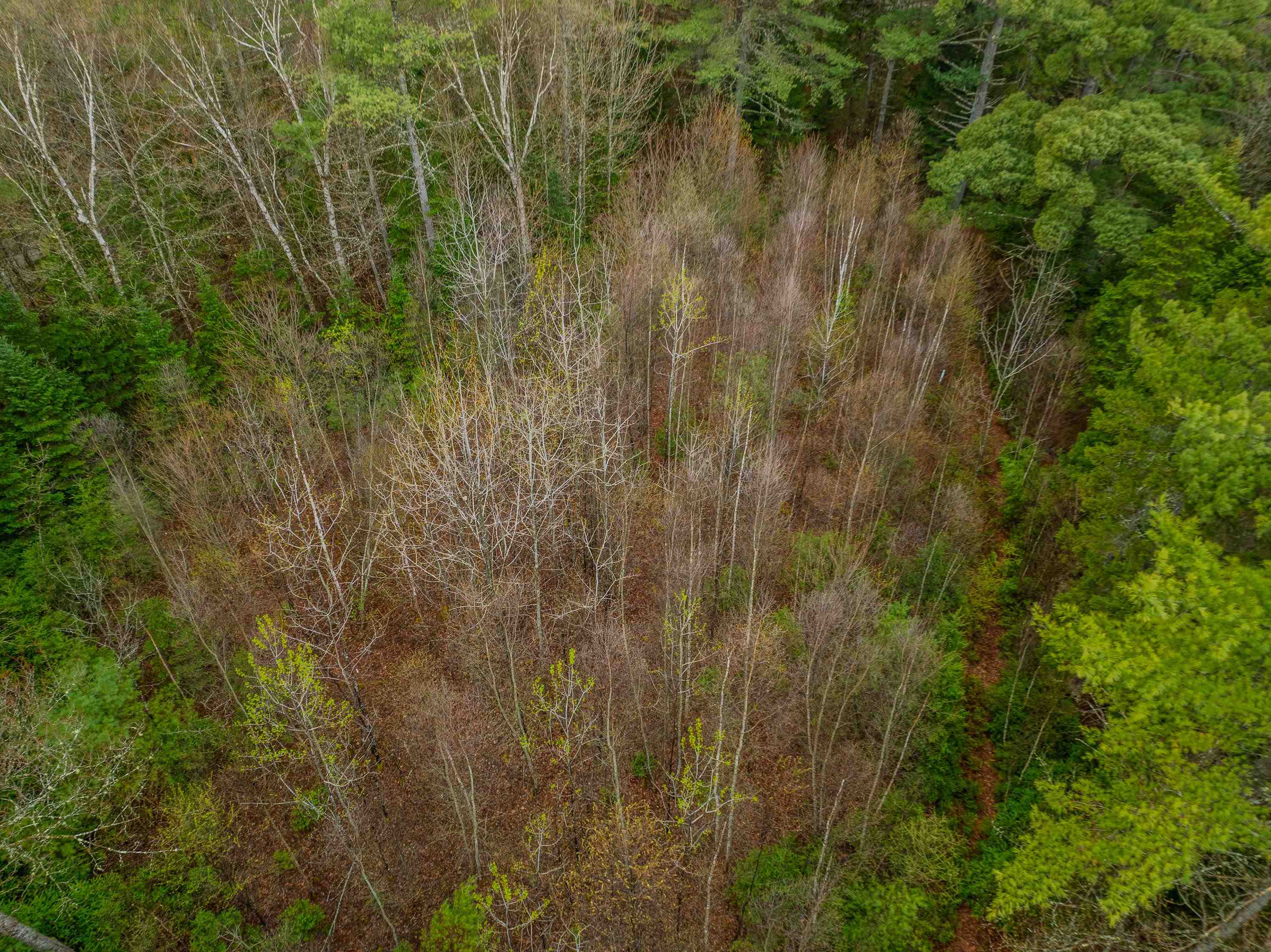 0000 River Rd, Bethlehem, NH 03574