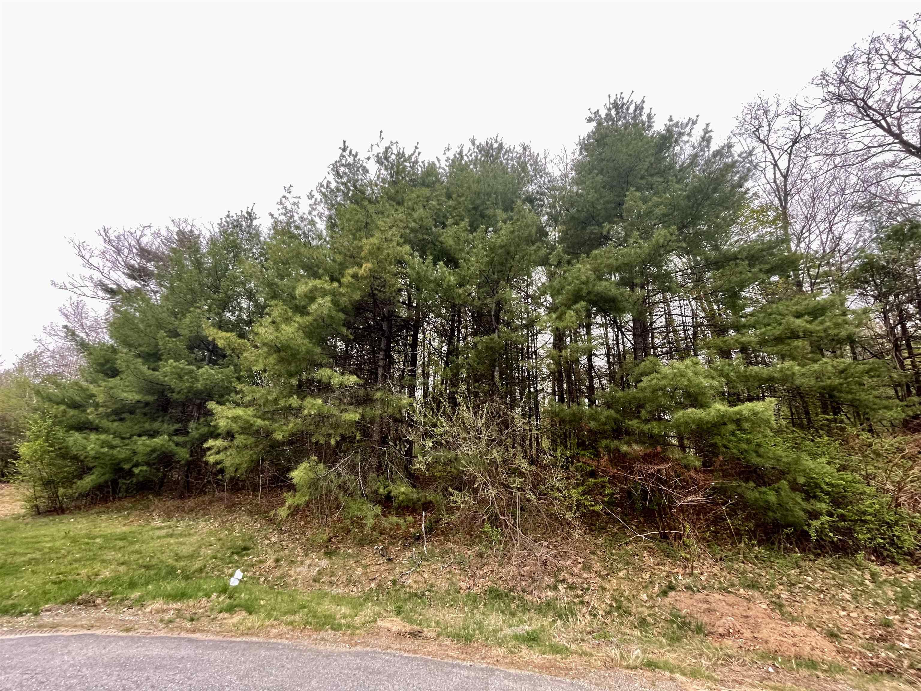 12-2 Pontiac Dr, Chesterfield, NH 03462