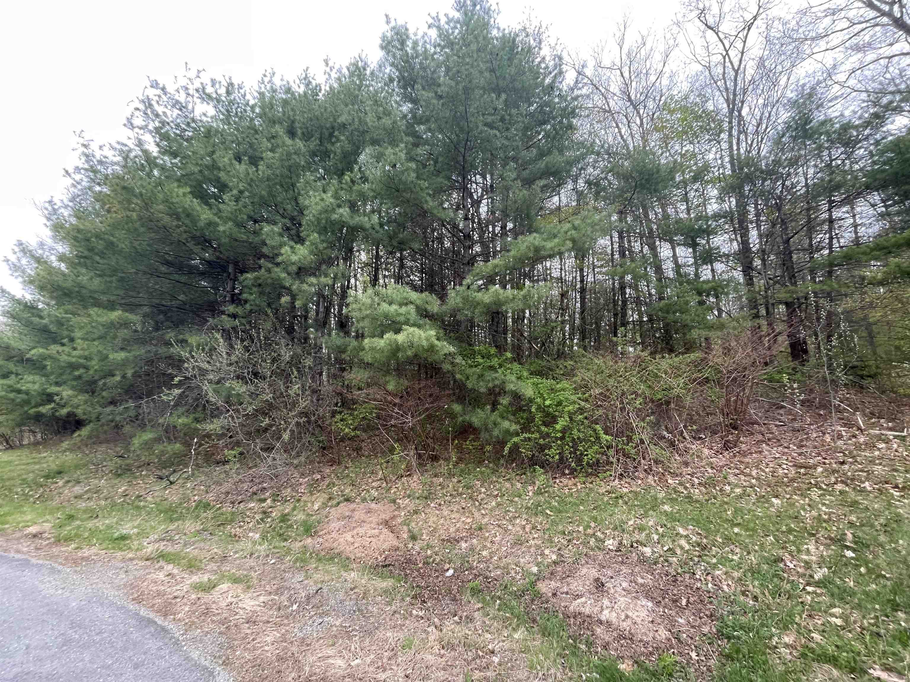 12-2 Pontiac Dr, Chesterfield, NH 03462