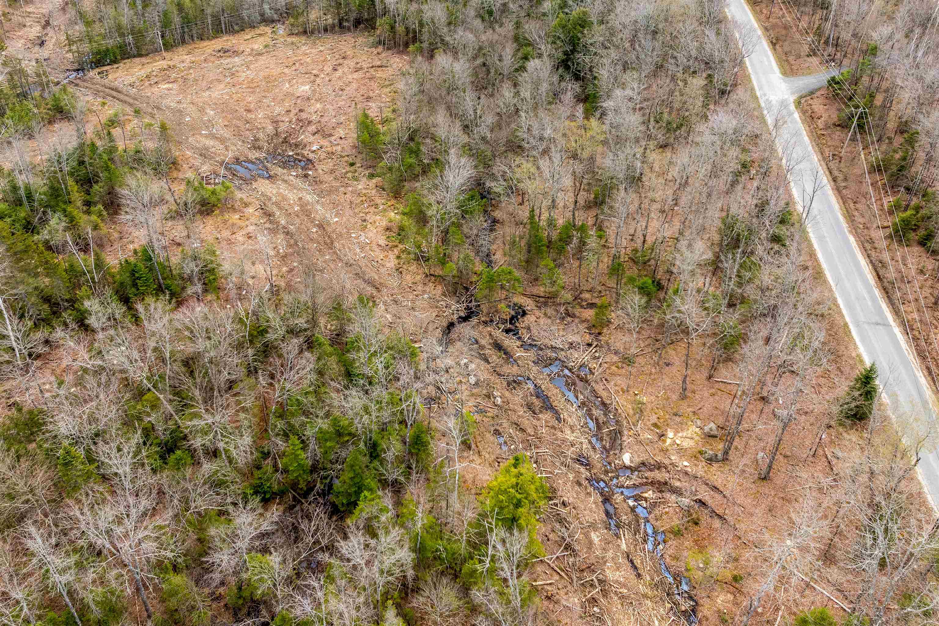 Stoney Brook Rd, Springfield, NH 03284