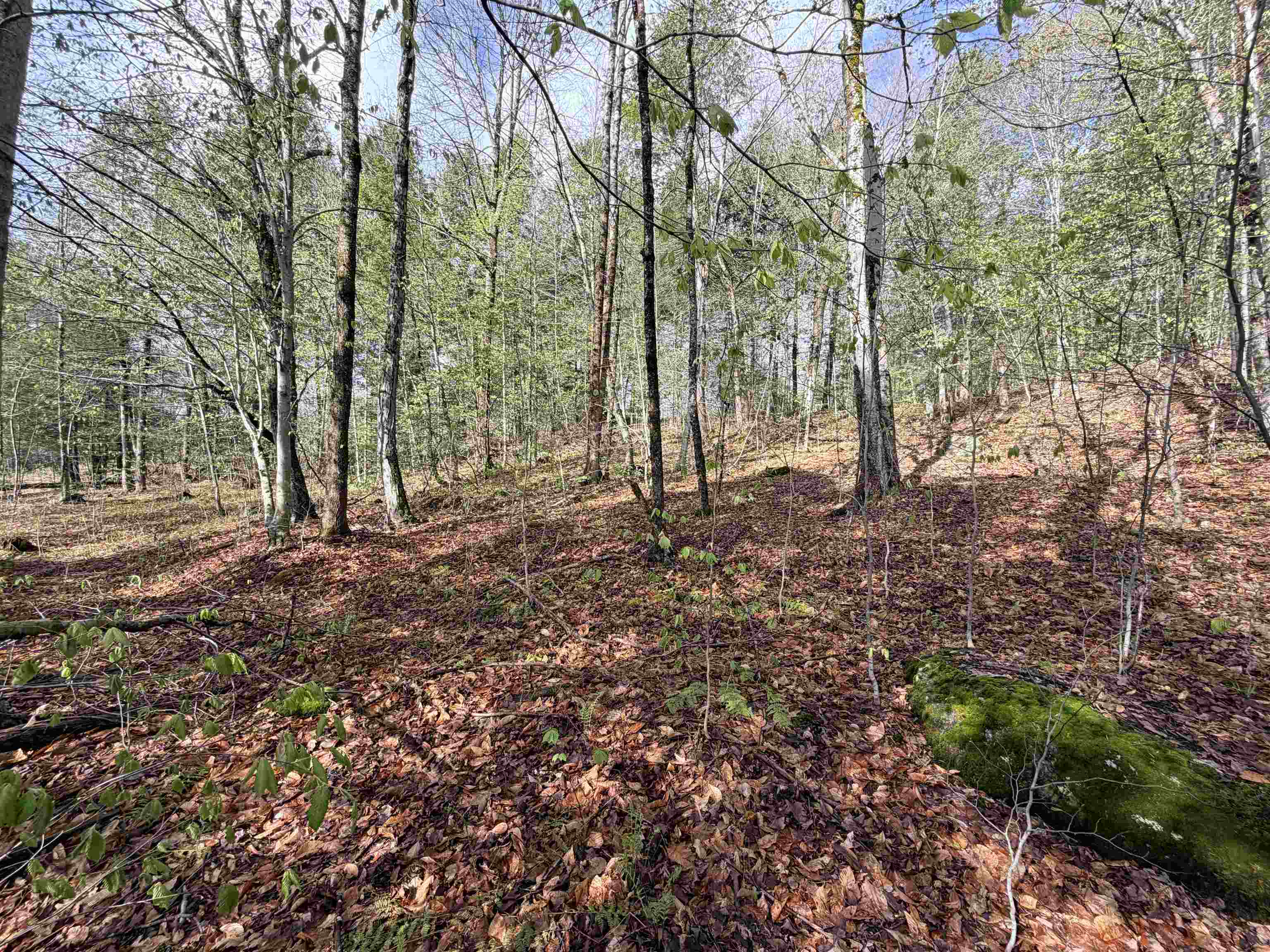 0 N Old Branch Rd, Antrim, NH 03440