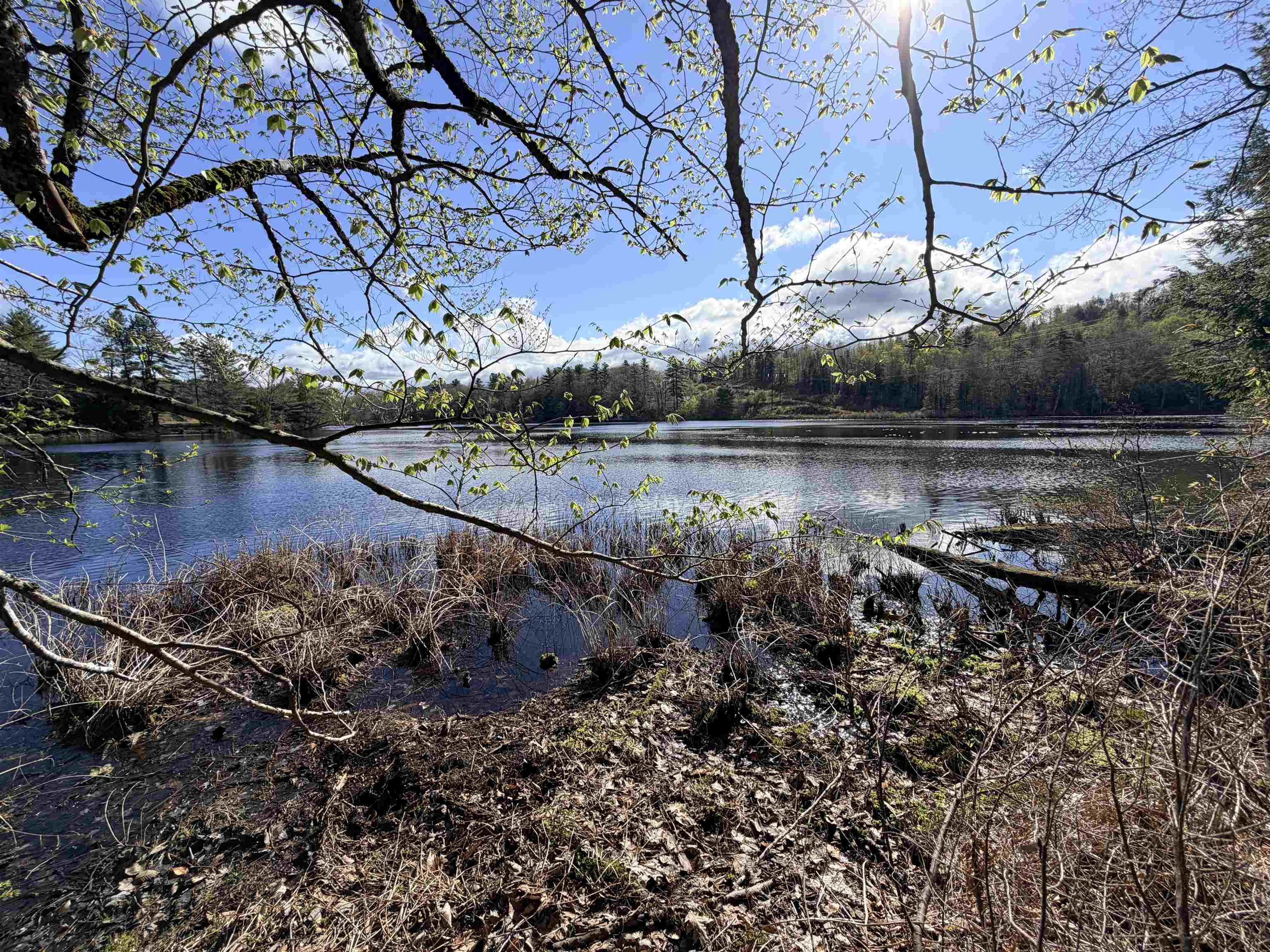 N Old Branch Rd, Antrim, NH 03440