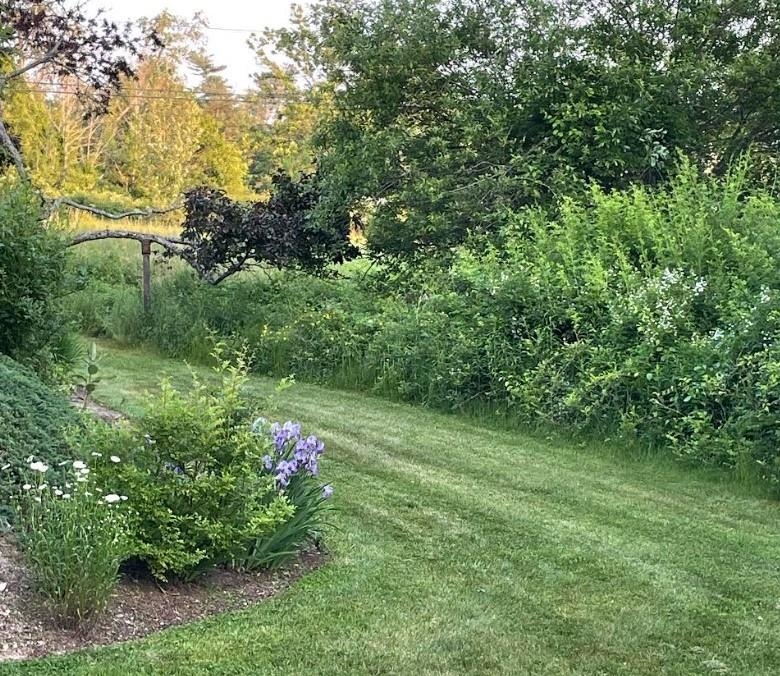 7 Old Mill Dr, Wolfeboro, NH 03894