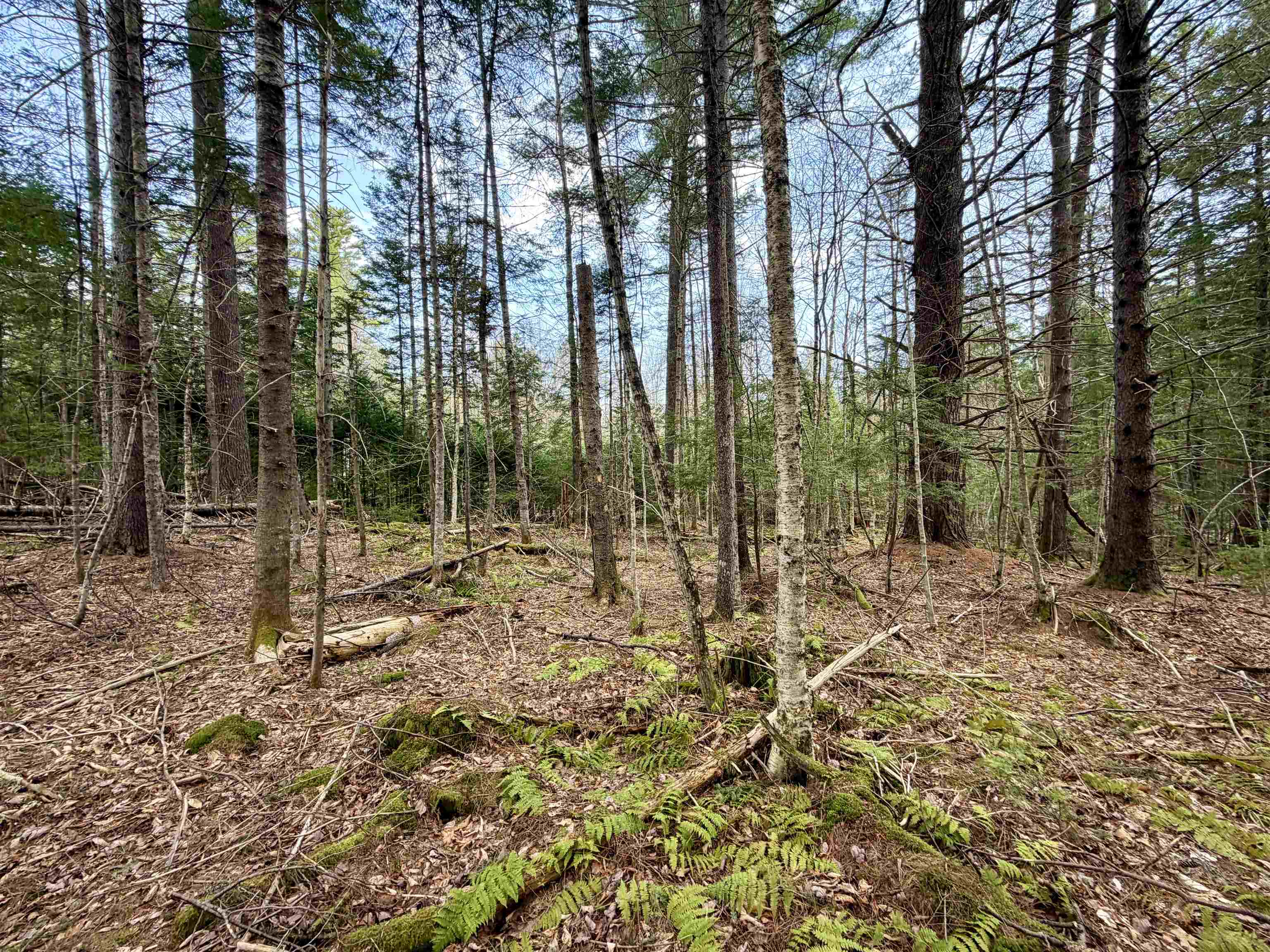 0 Cuttyhunk Rd, Thornton, NH 03223