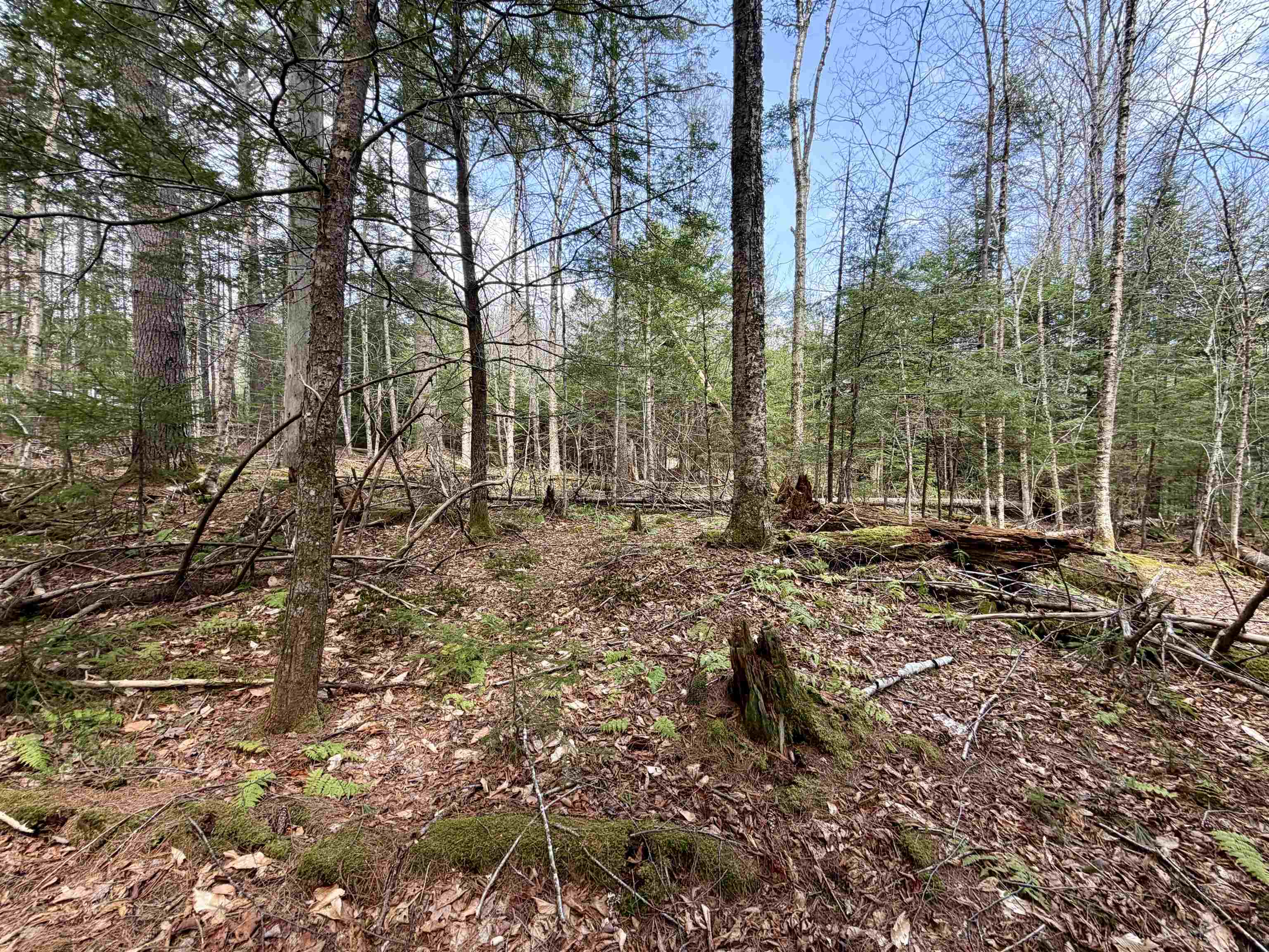 0 Cuttyhunk Rd, Thornton, NH 03223