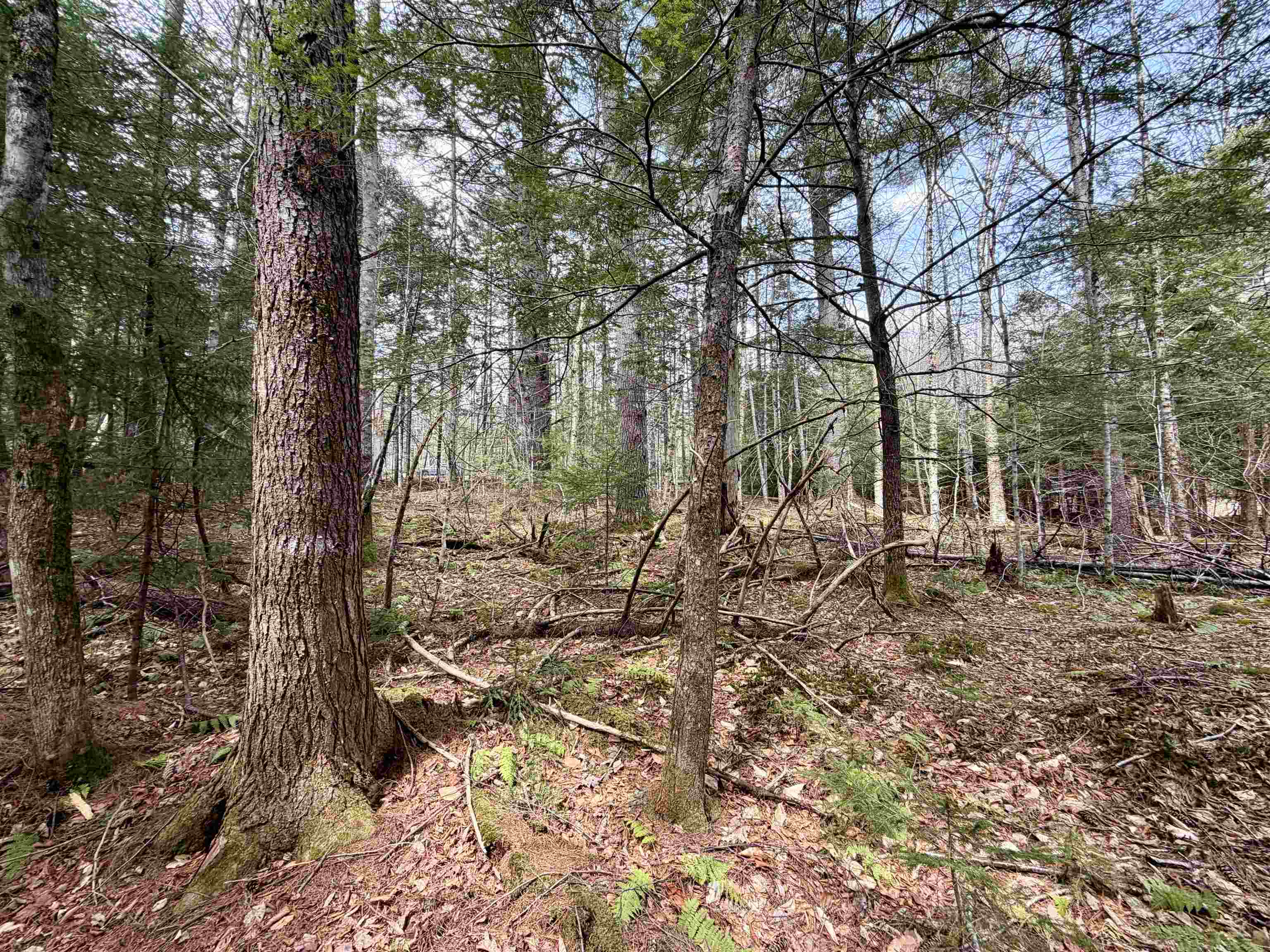 0 Cuttyhunk Rd, Thornton, NH 03223