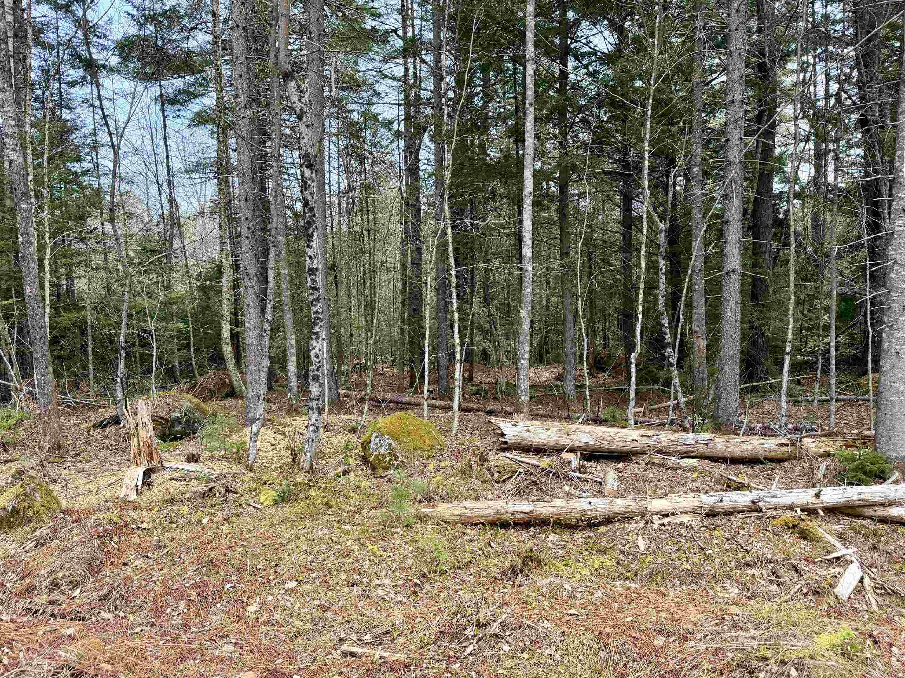 Cuttyhunk Rd, Thornton, NH 03223