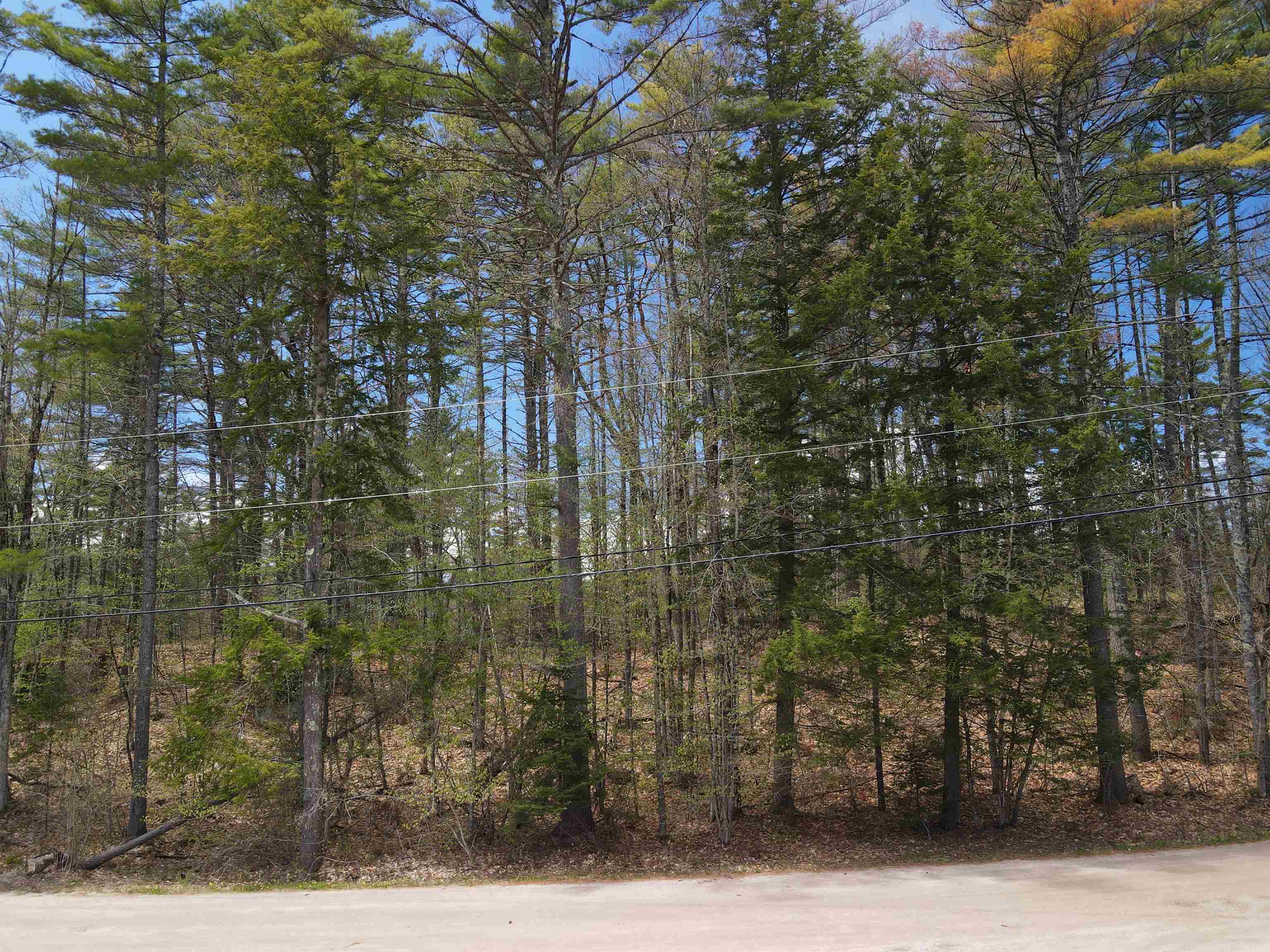 12 Eidelweiss Dr, Madison, NH 03849