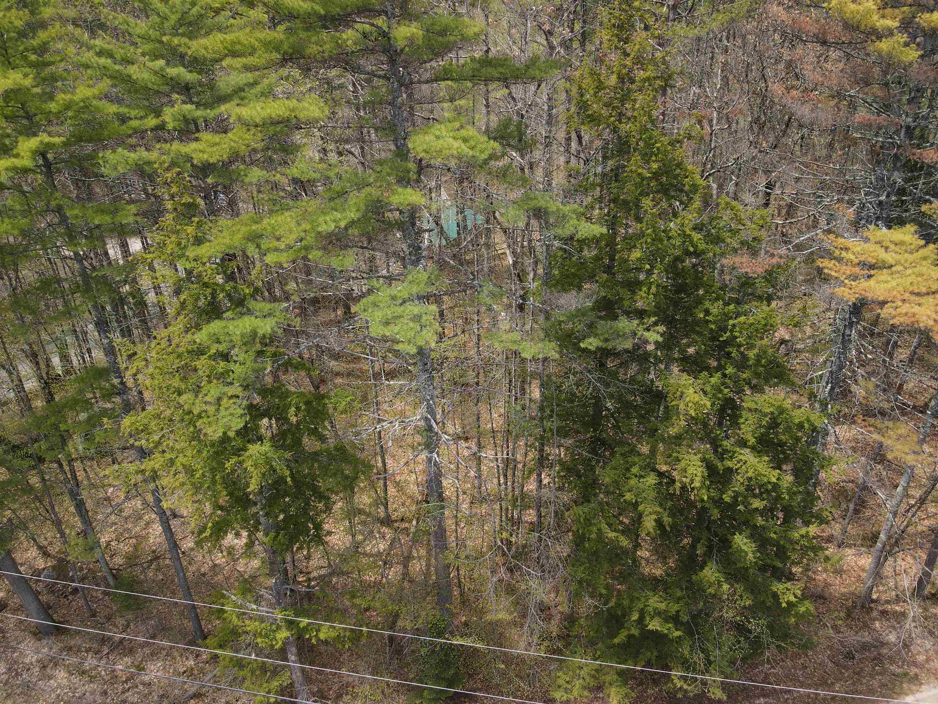 12 Eidelweiss Dr, Madison, NH 03849