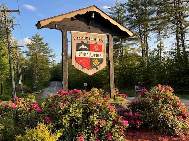 12 Eidelweiss Dr, Madison, NH 03849