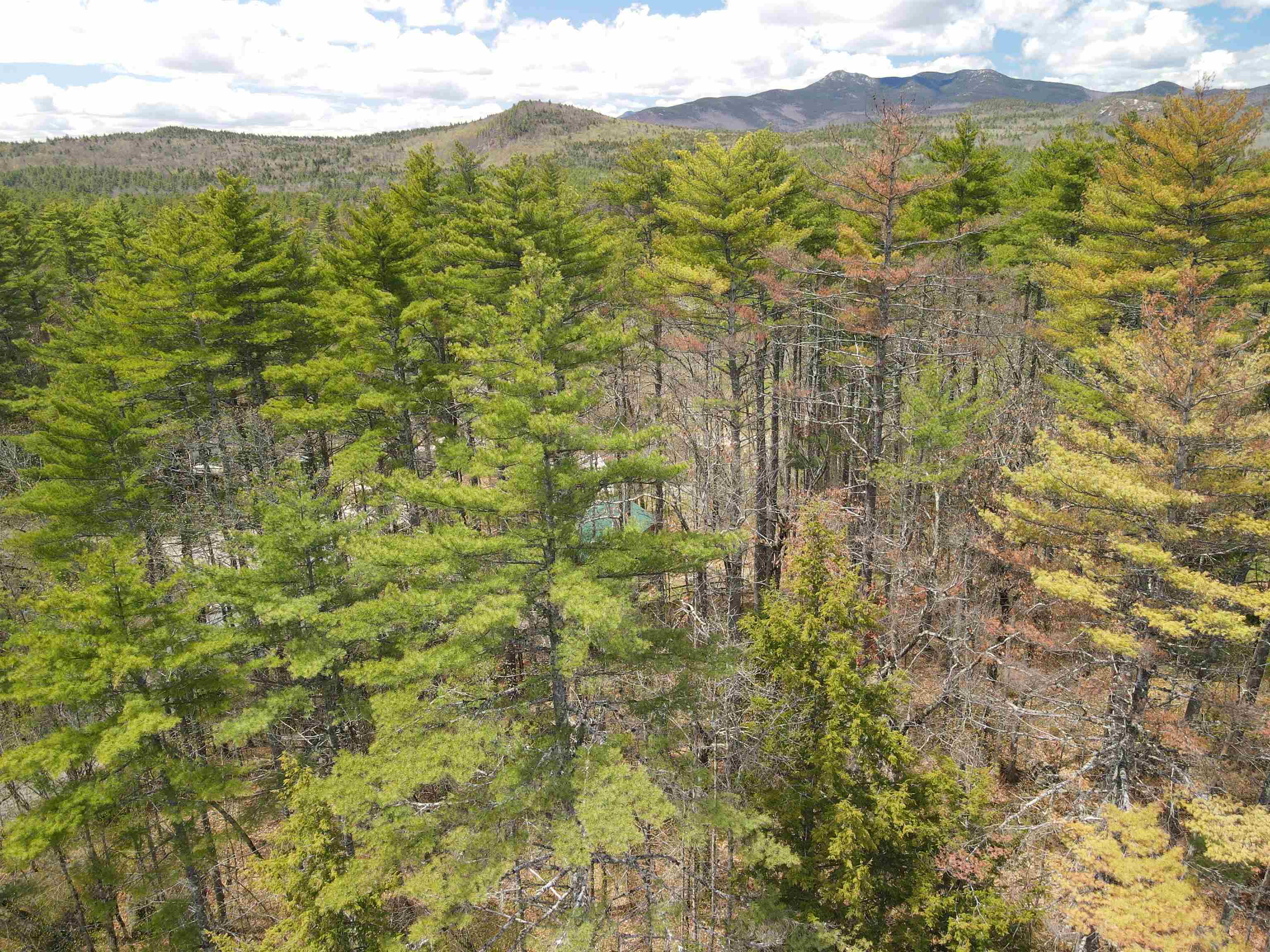 12 Eidelweiss Dr, Madison, NH 03849