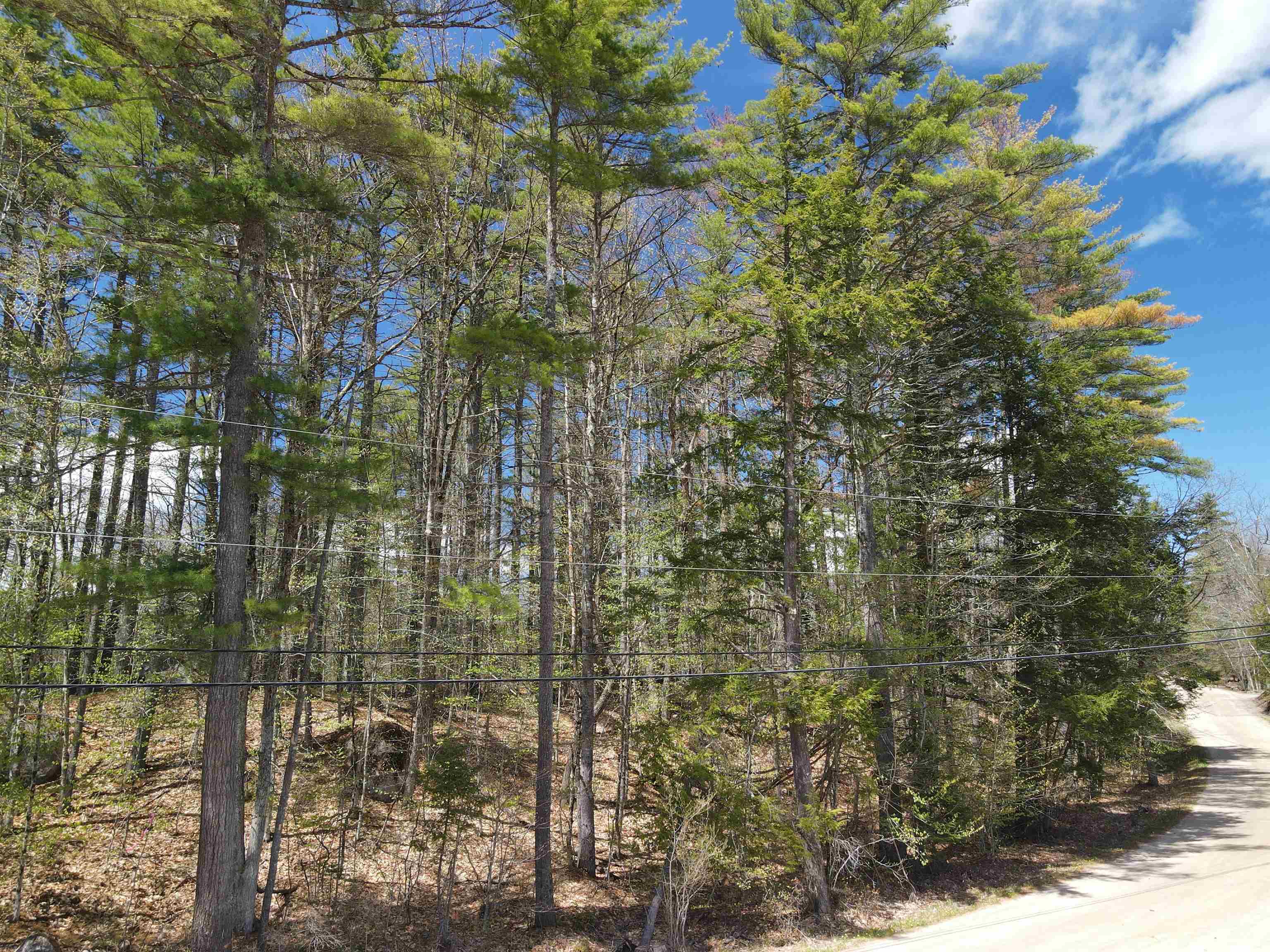 12 Eidelweiss Dr, Madison, NH 03849