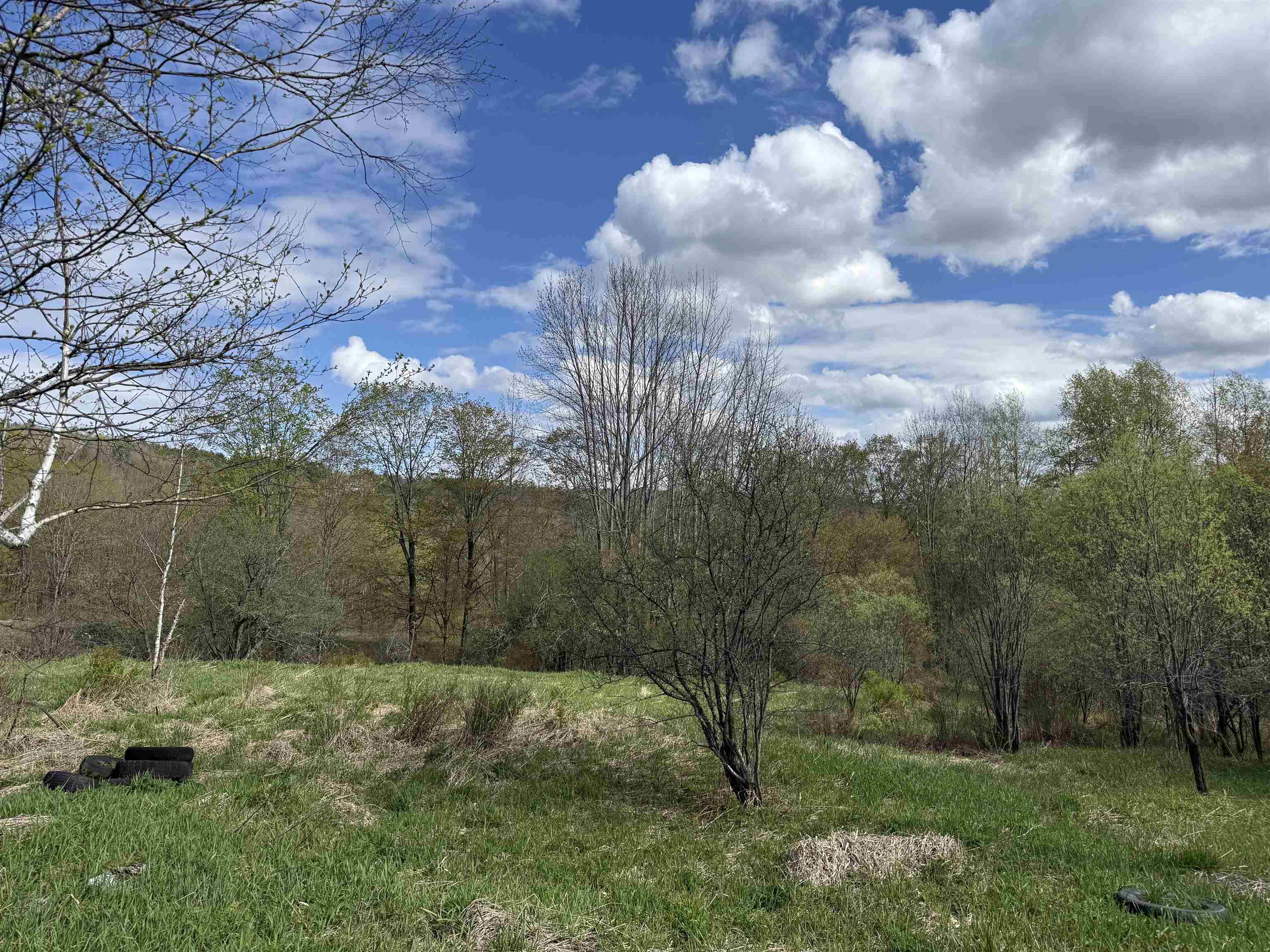 Braintree VT&nbsp;Land for sale $79,000 | 10.1 Acres  | Price Per Acre $0 